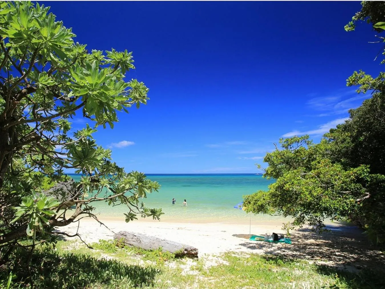Natural landscape in Seven Colors Ishigakijima