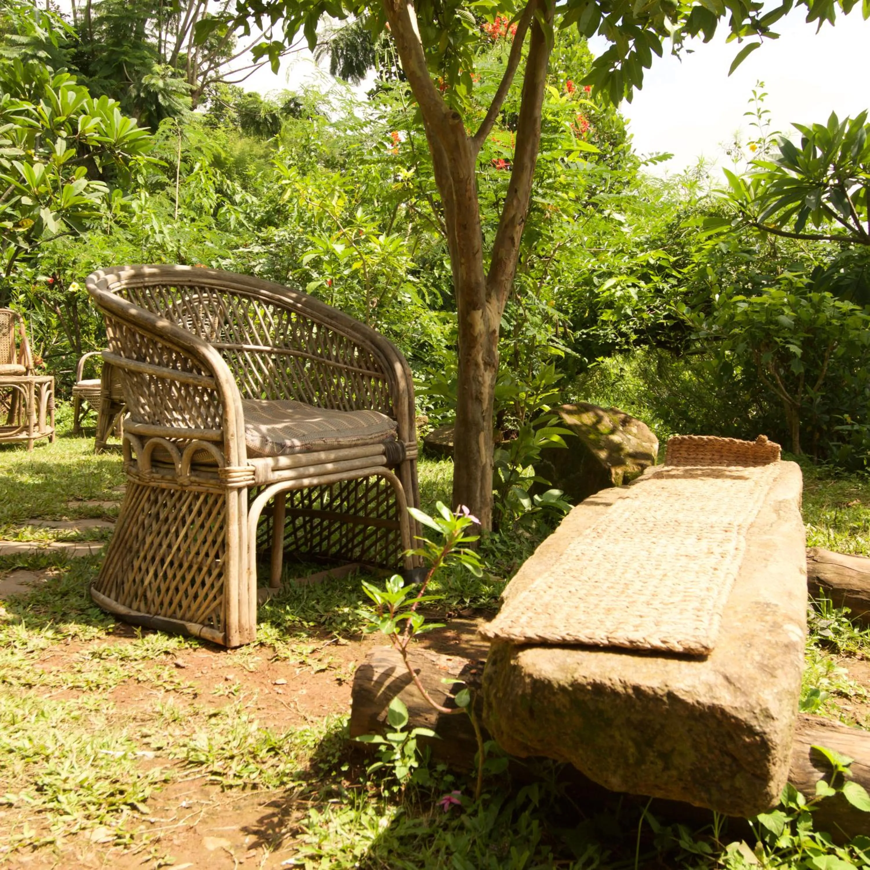 Garden in The Famous Farm