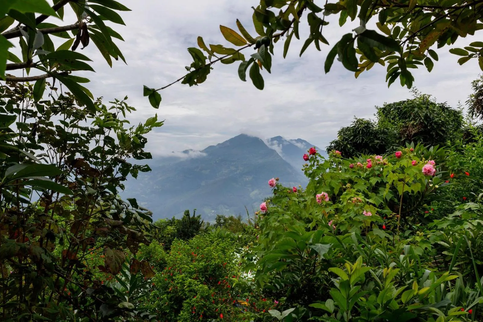 Natural landscape in The Famous Farm