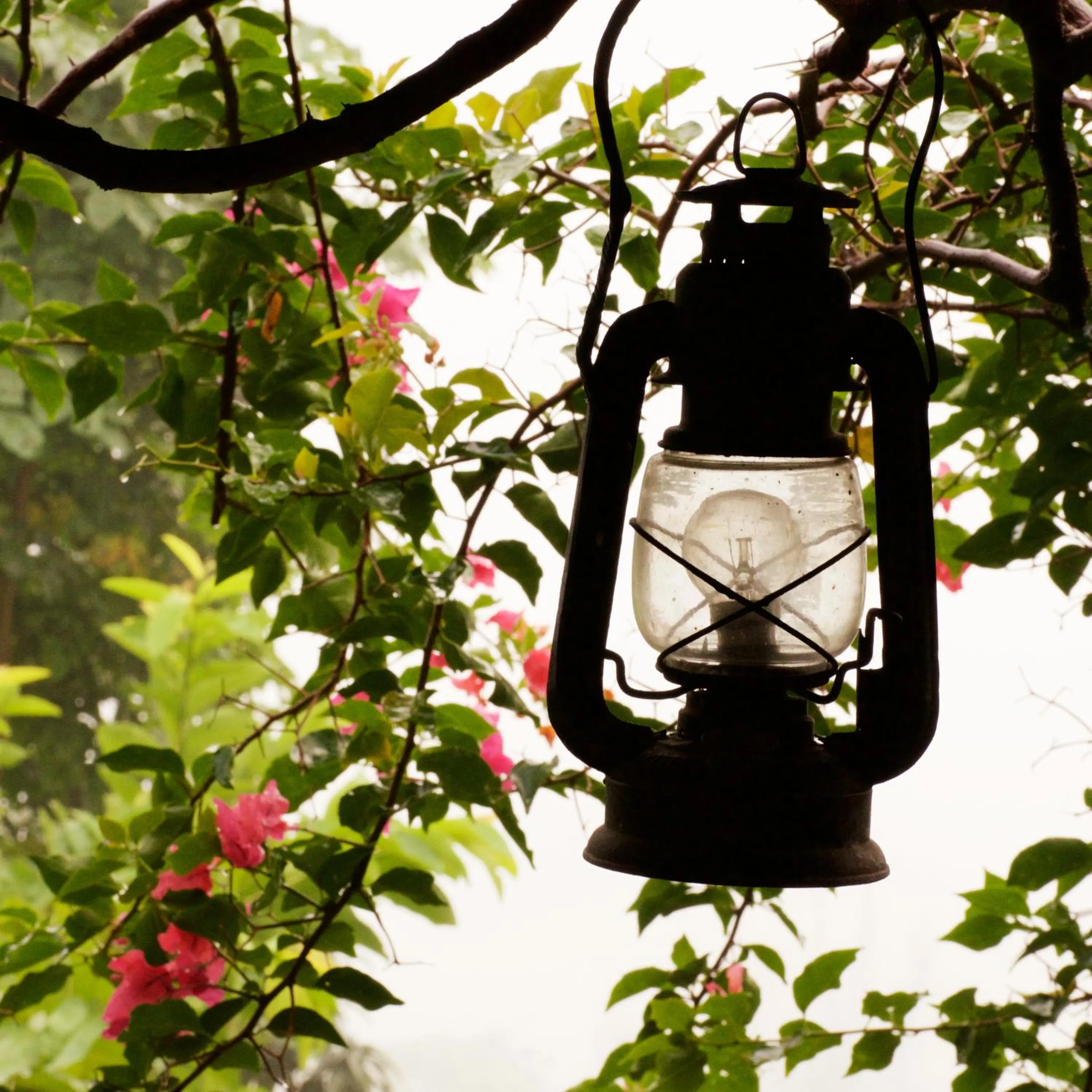 Natural landscape in The Famous Farm