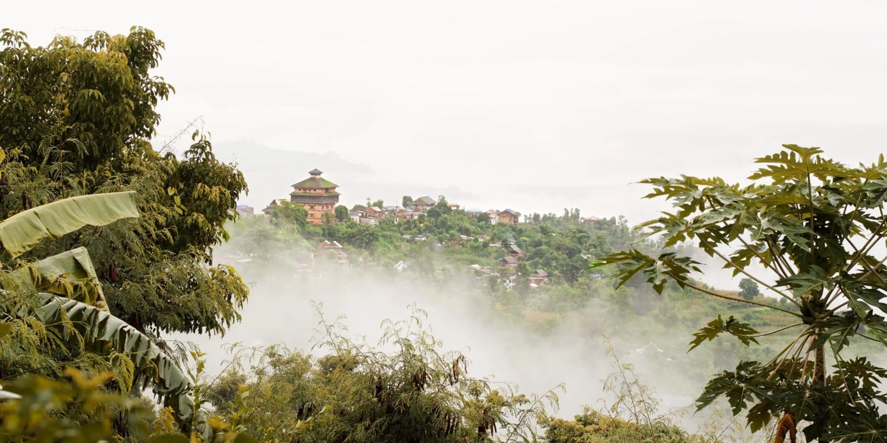 View (from property/room) in The Famous Farm