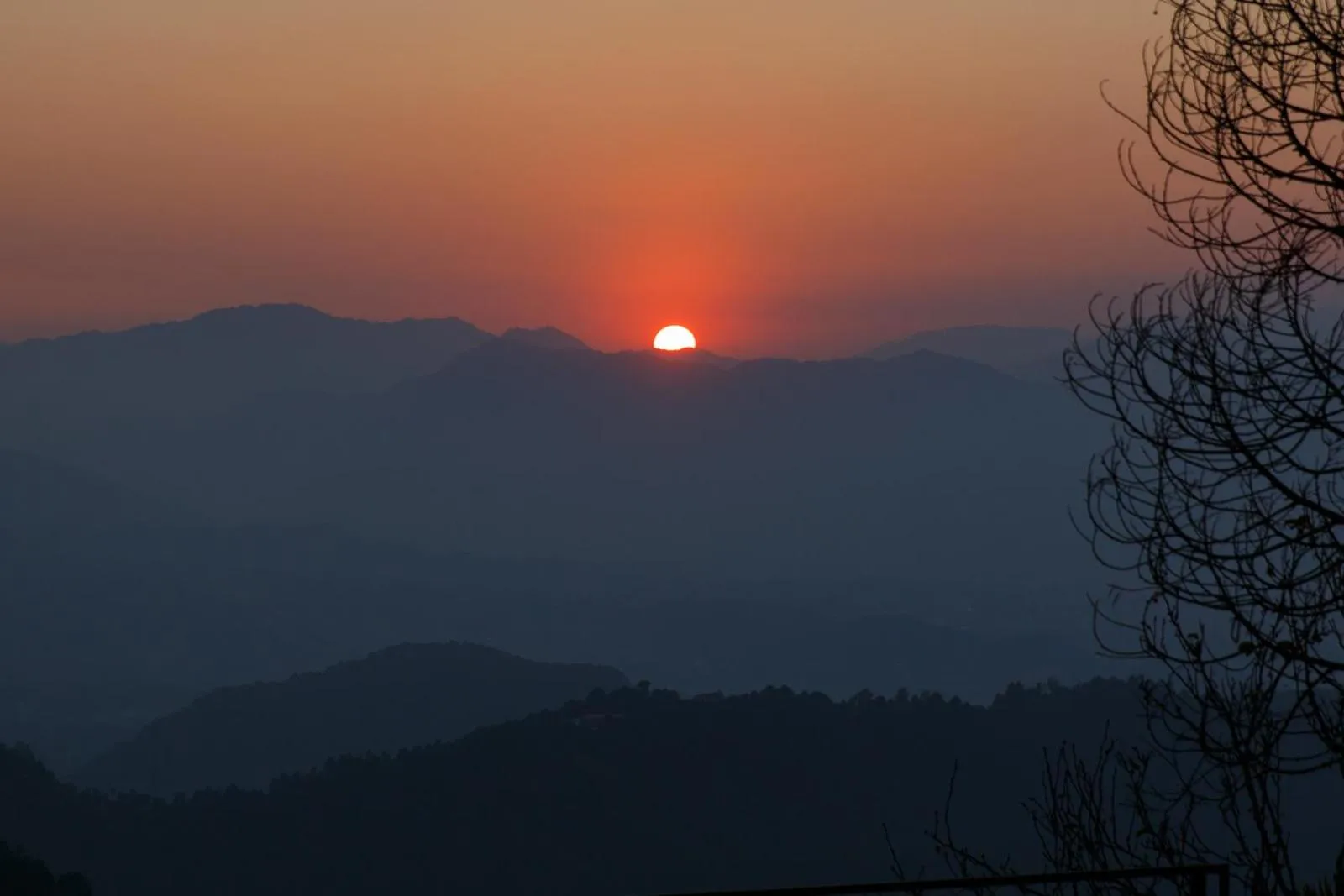 Natural landscape in The Famous Farm