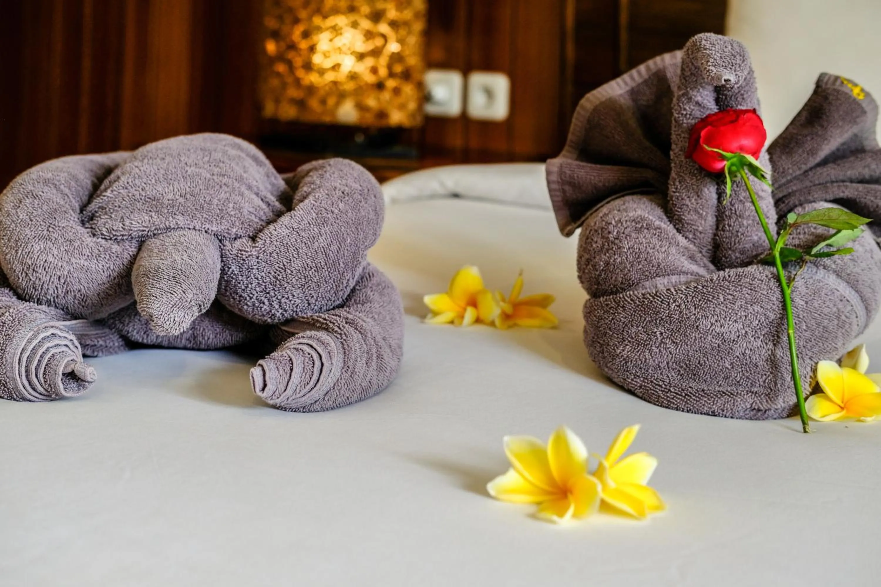 Bed in Papillon Echo Beach