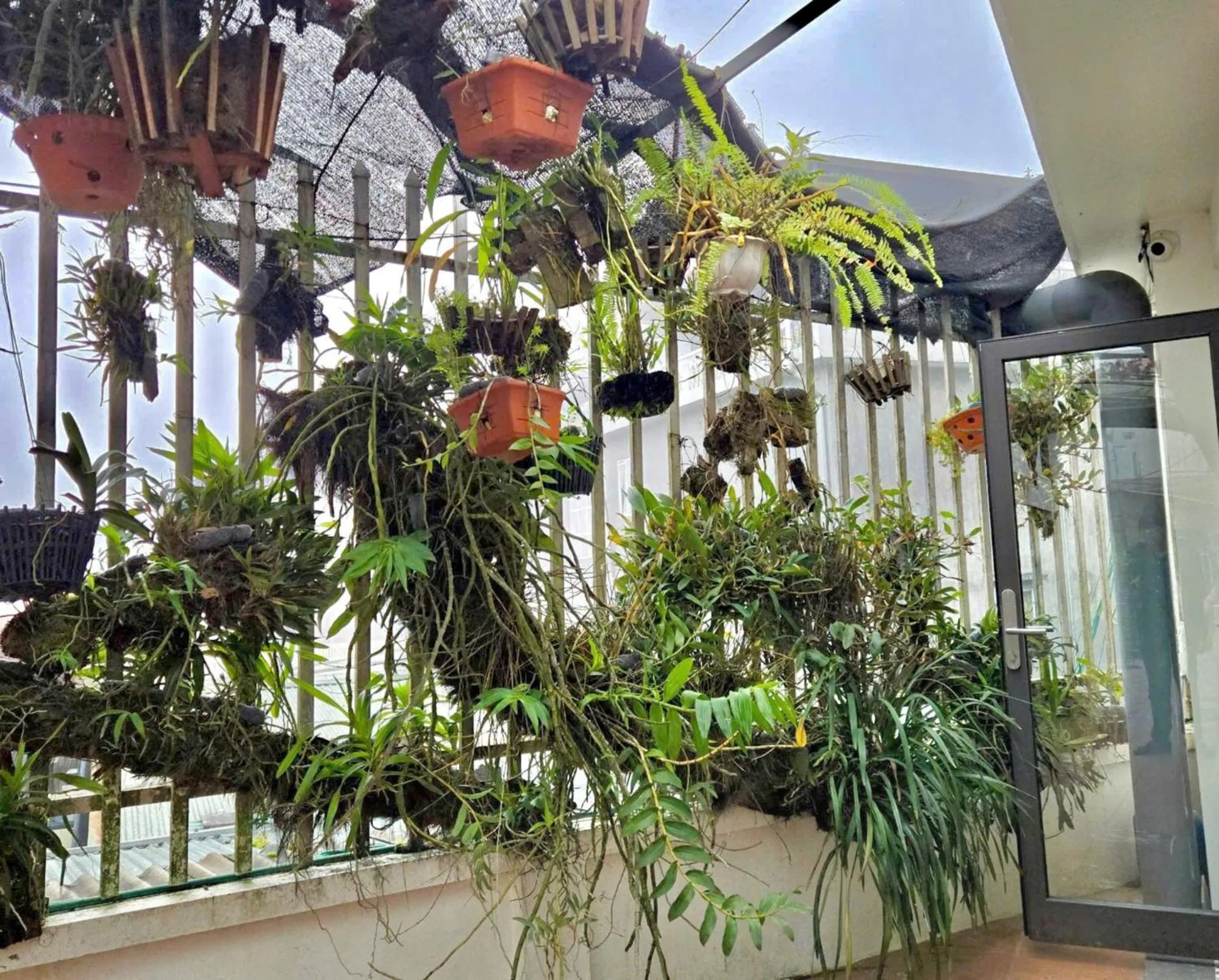 Day in Sapa Village Hotel