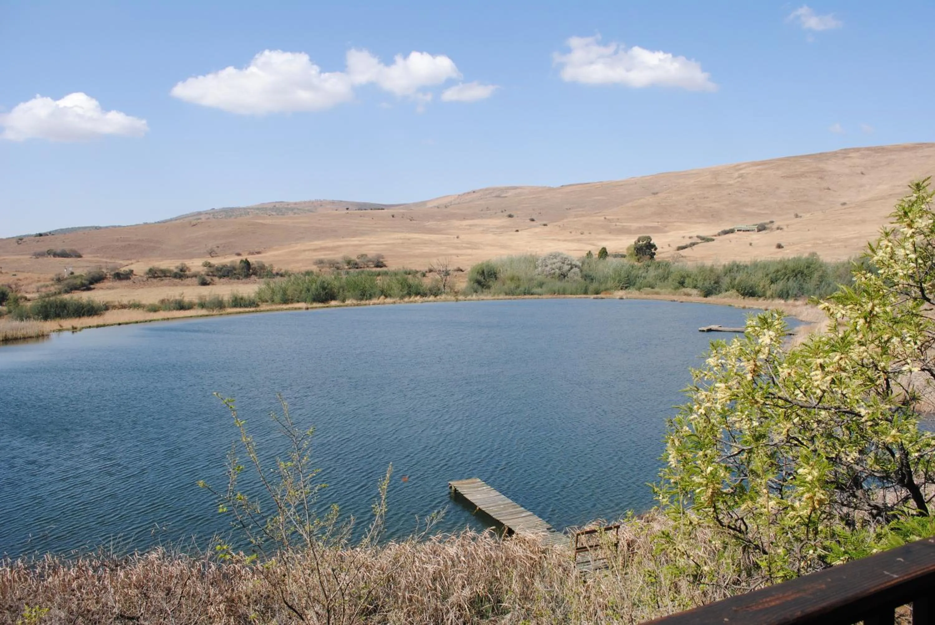 Lake view in Valley of the Rainbow Fly Fishing Estate