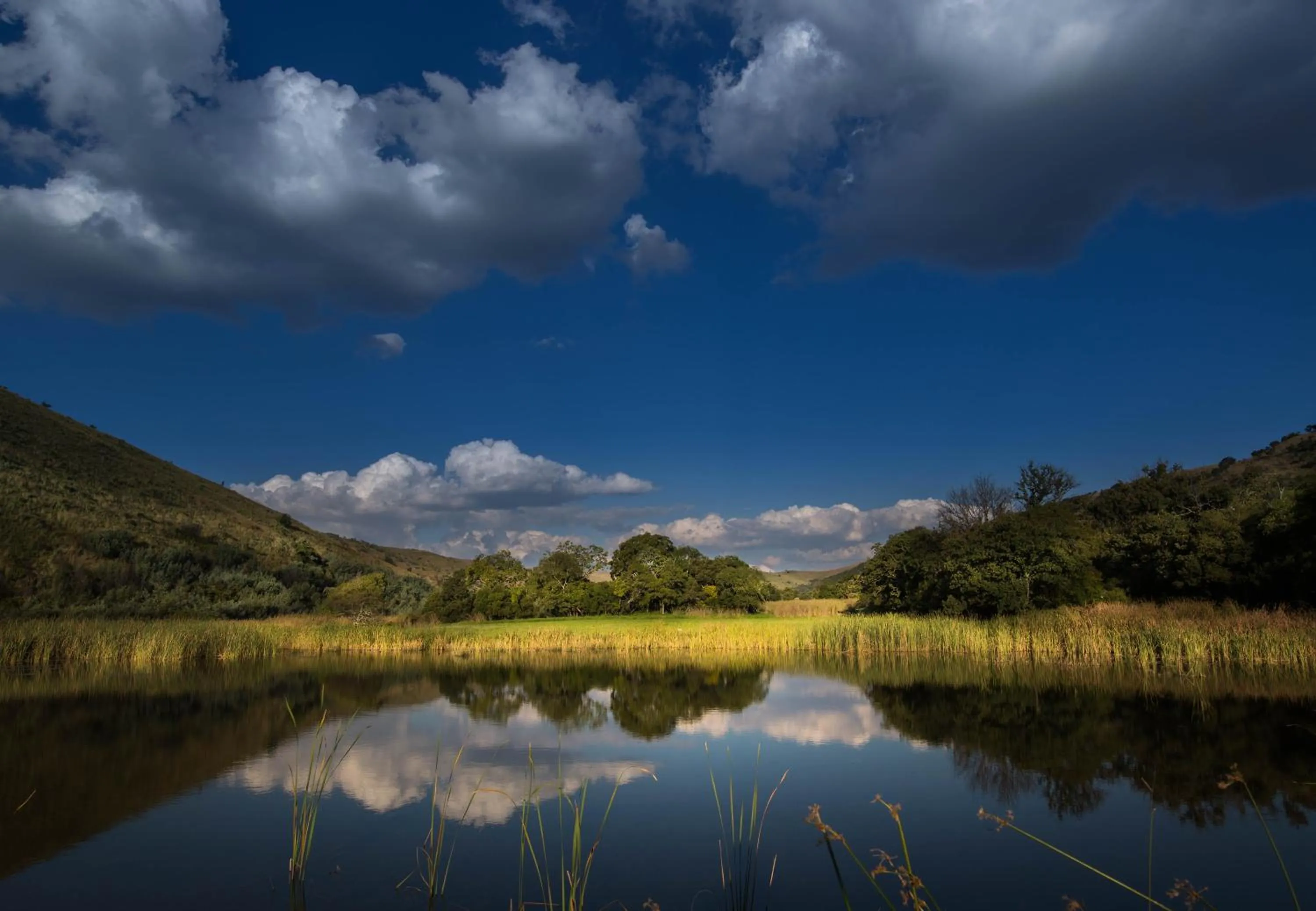 Natural landscape in Valley of the Rainbow Fly Fishing Estate