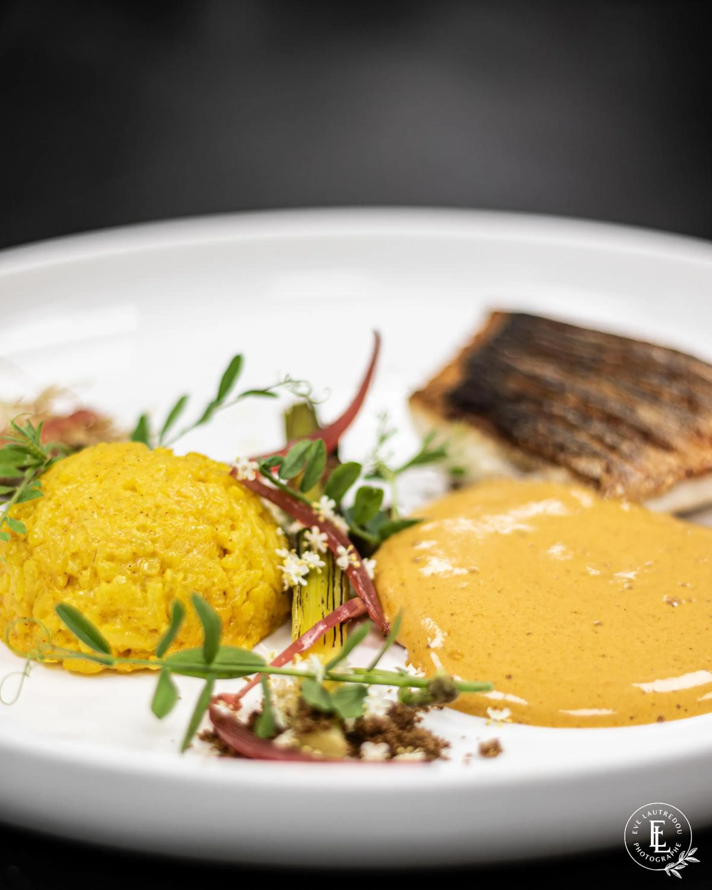 Restaurant/places to eat in Domaine la Pierre Blanche