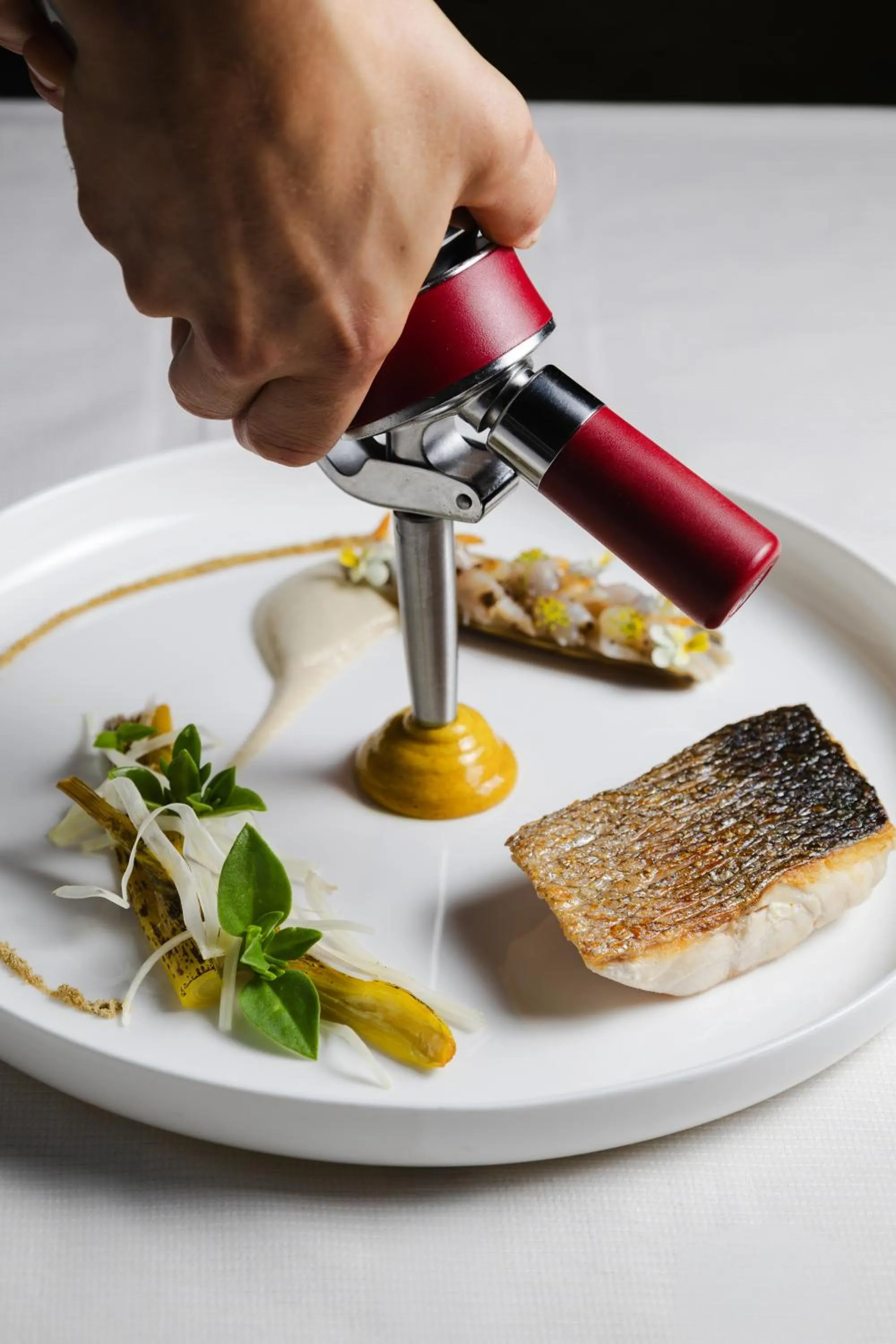 Food and drinks in Domaine la Pierre Blanche