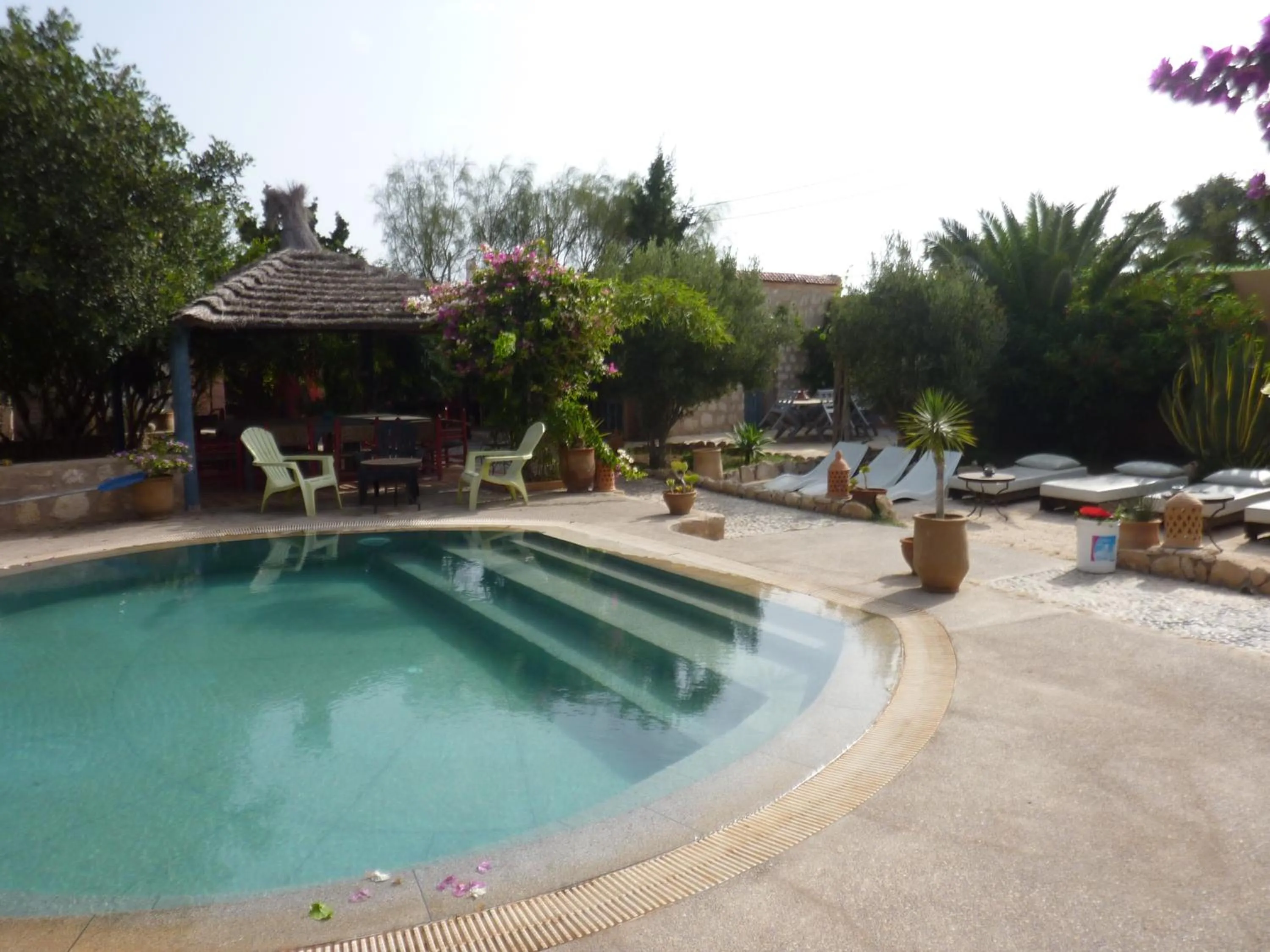 Garden in Villa Grenadine