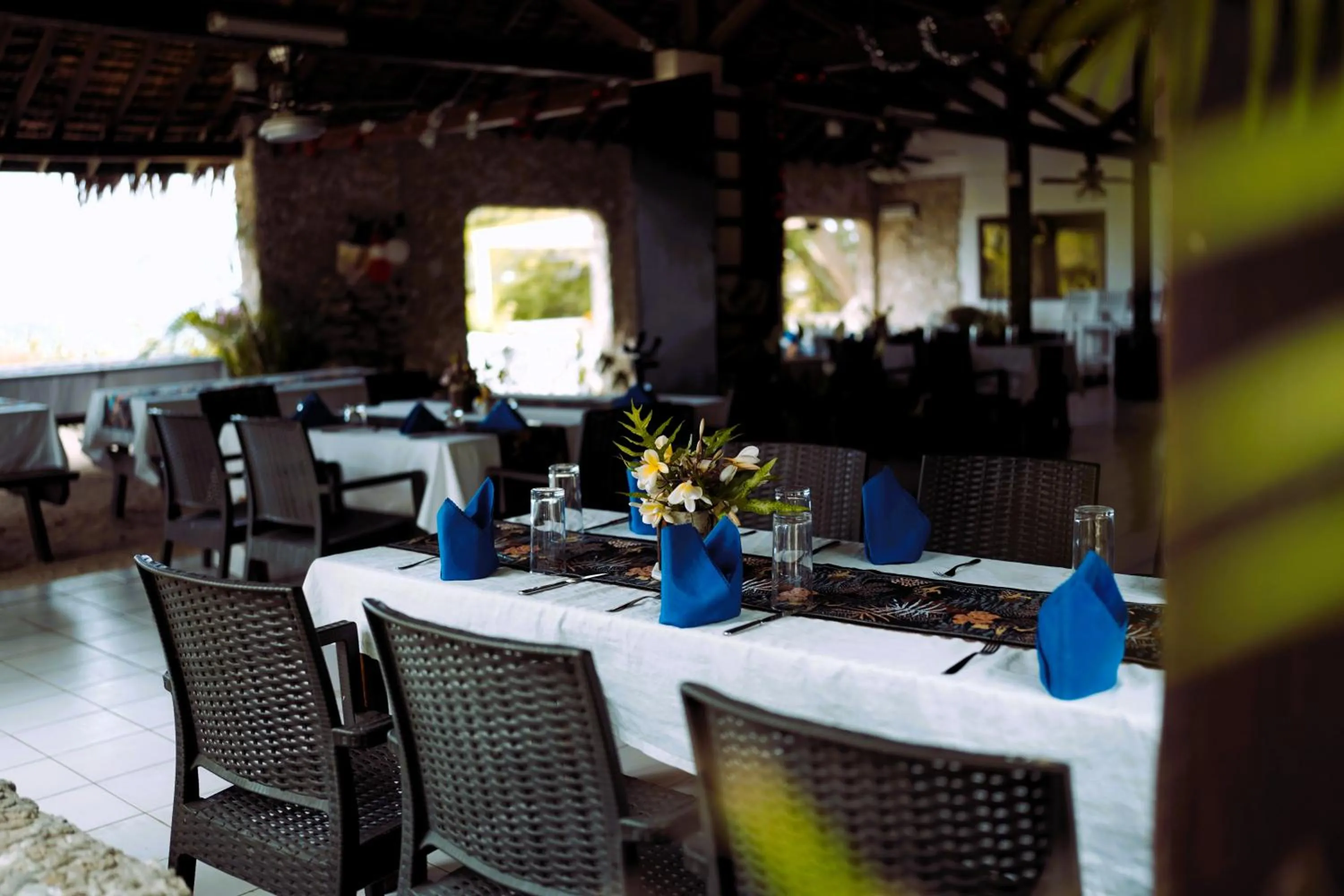 Tanna Evergreen Resort & Tours