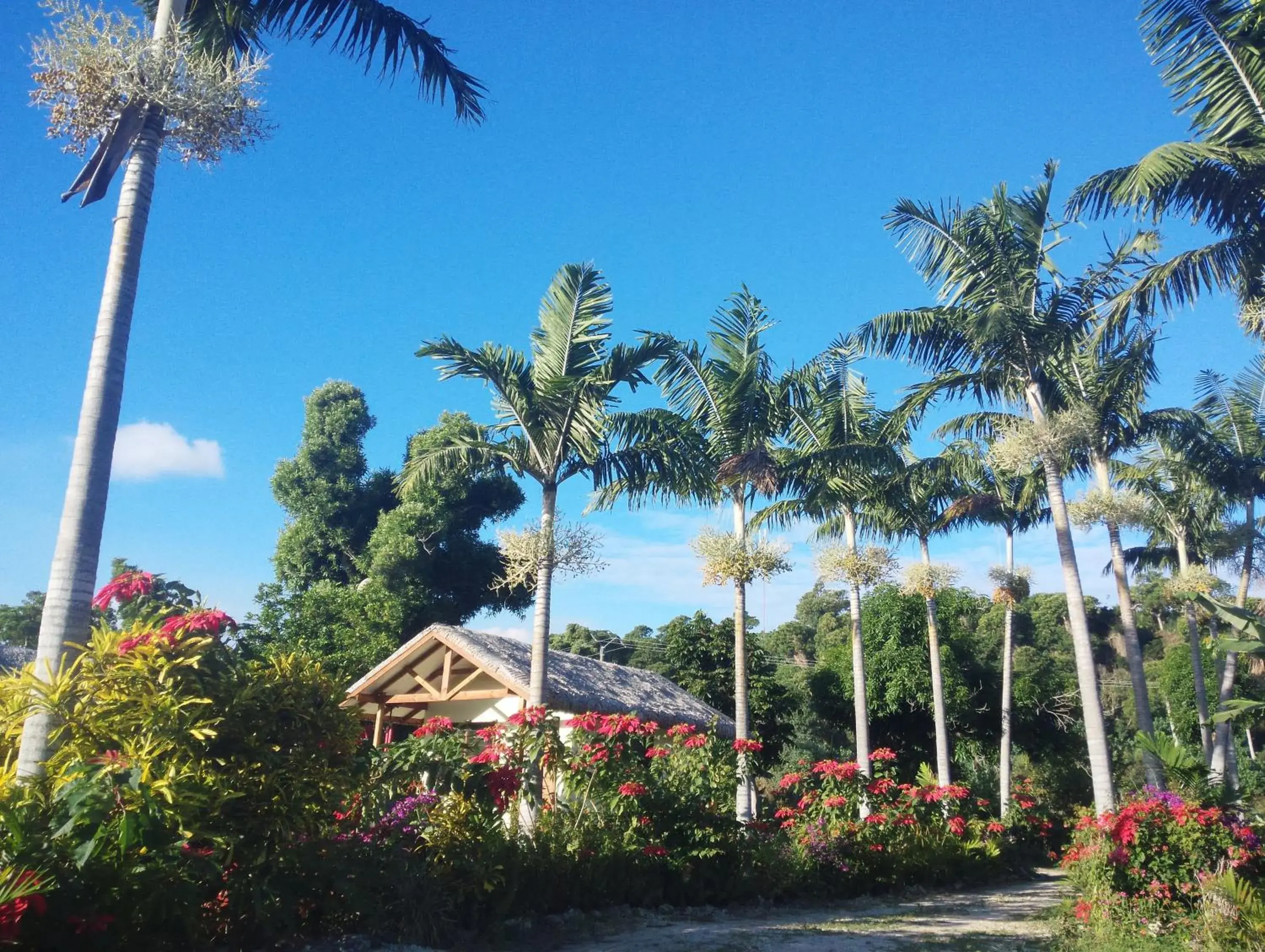 Bungalow with Garden View in Tanna Evergreen Resort & Tours Bungalow with Garden View in Tanna Evergreen Resort & Tours