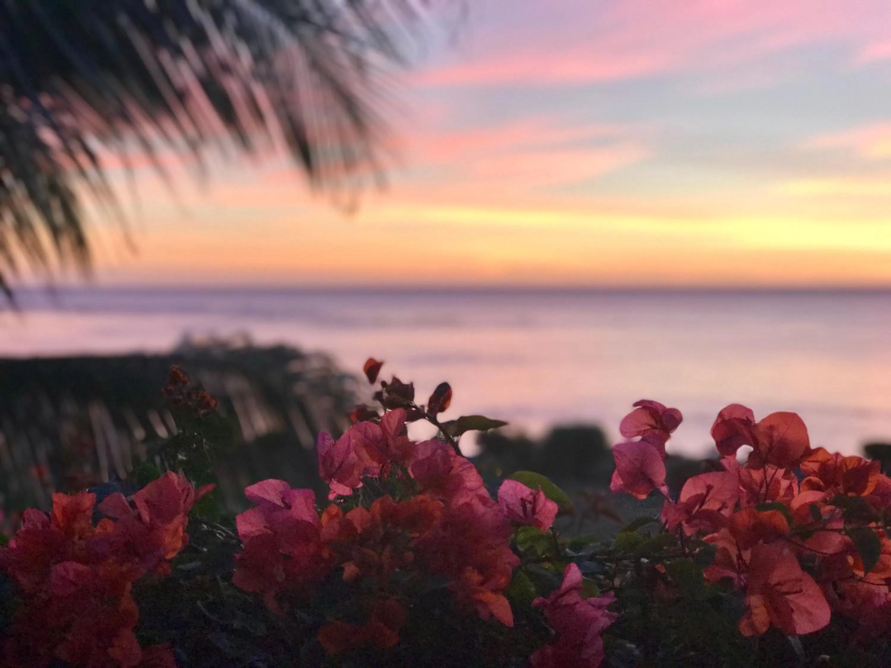 Tanna Evergreen Resort & Tours