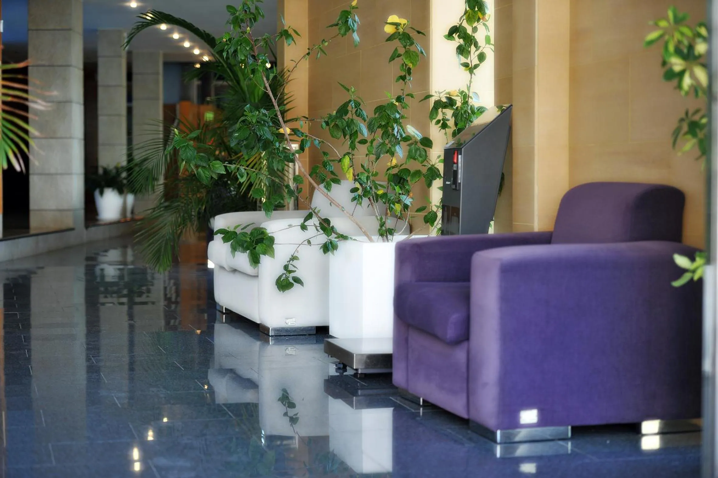 Lobby or reception in Hotel Nadal