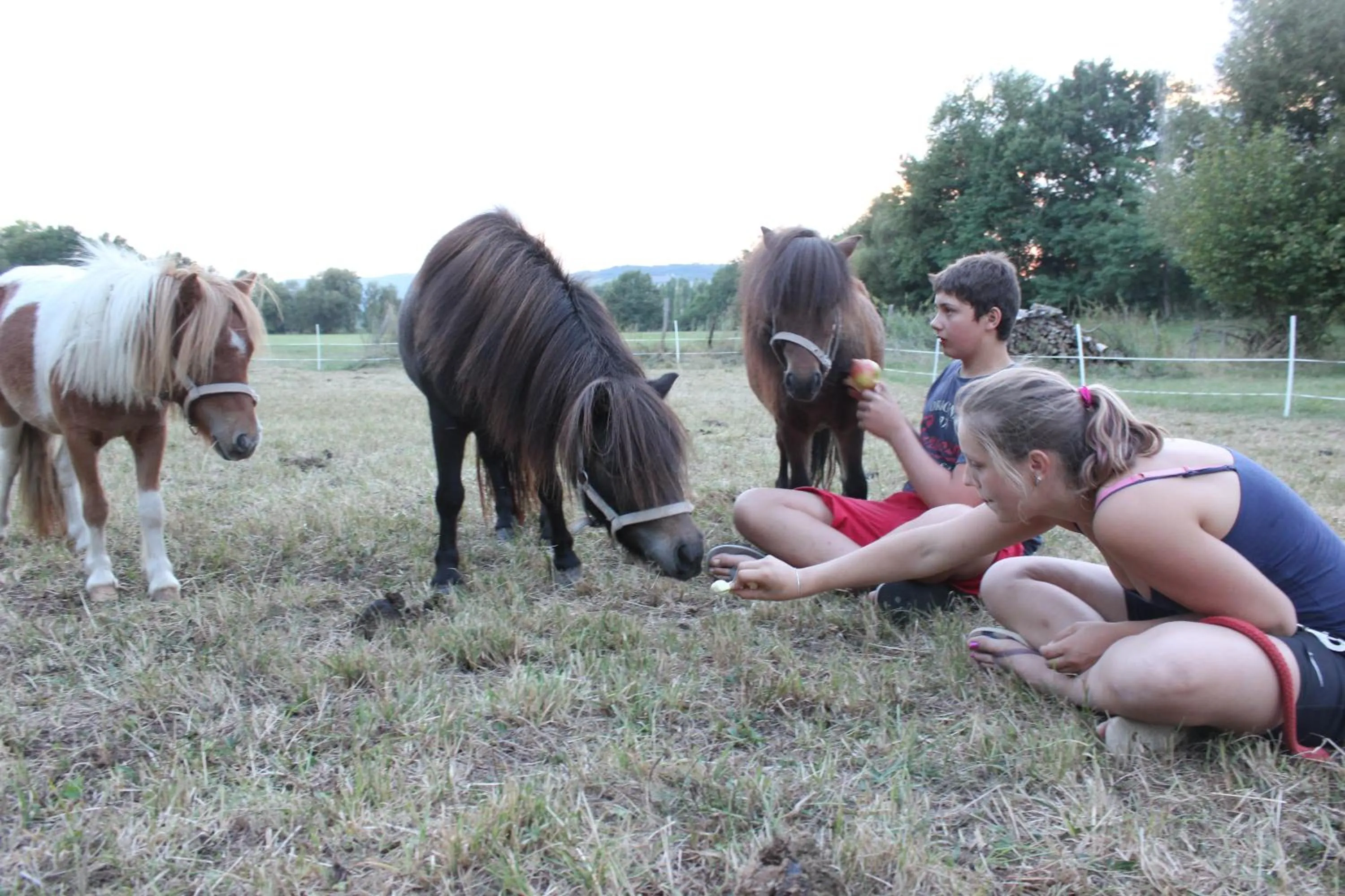Horse-riding in Domaine des Lilas