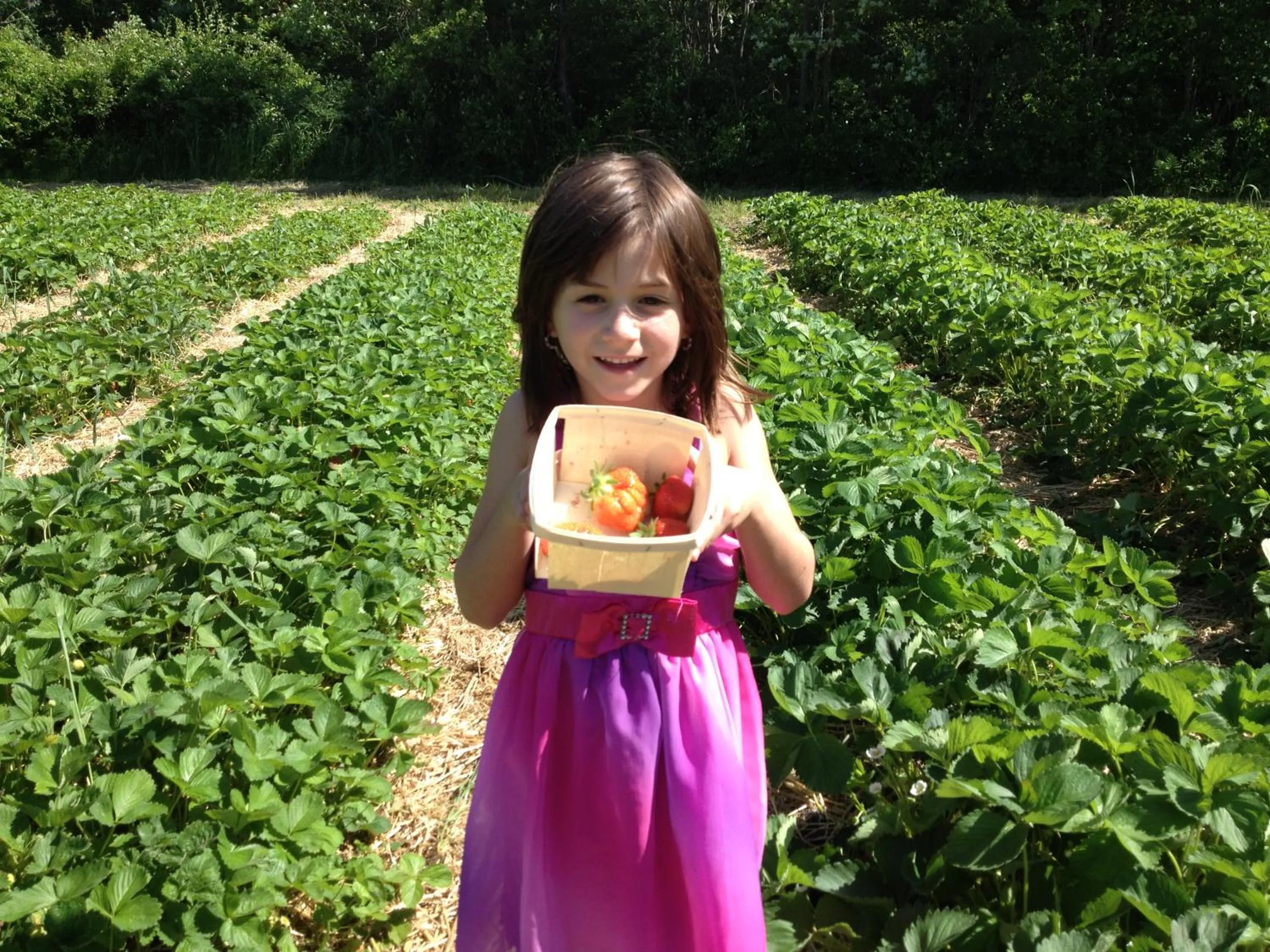 children in Timber Post Bed & Breakfast