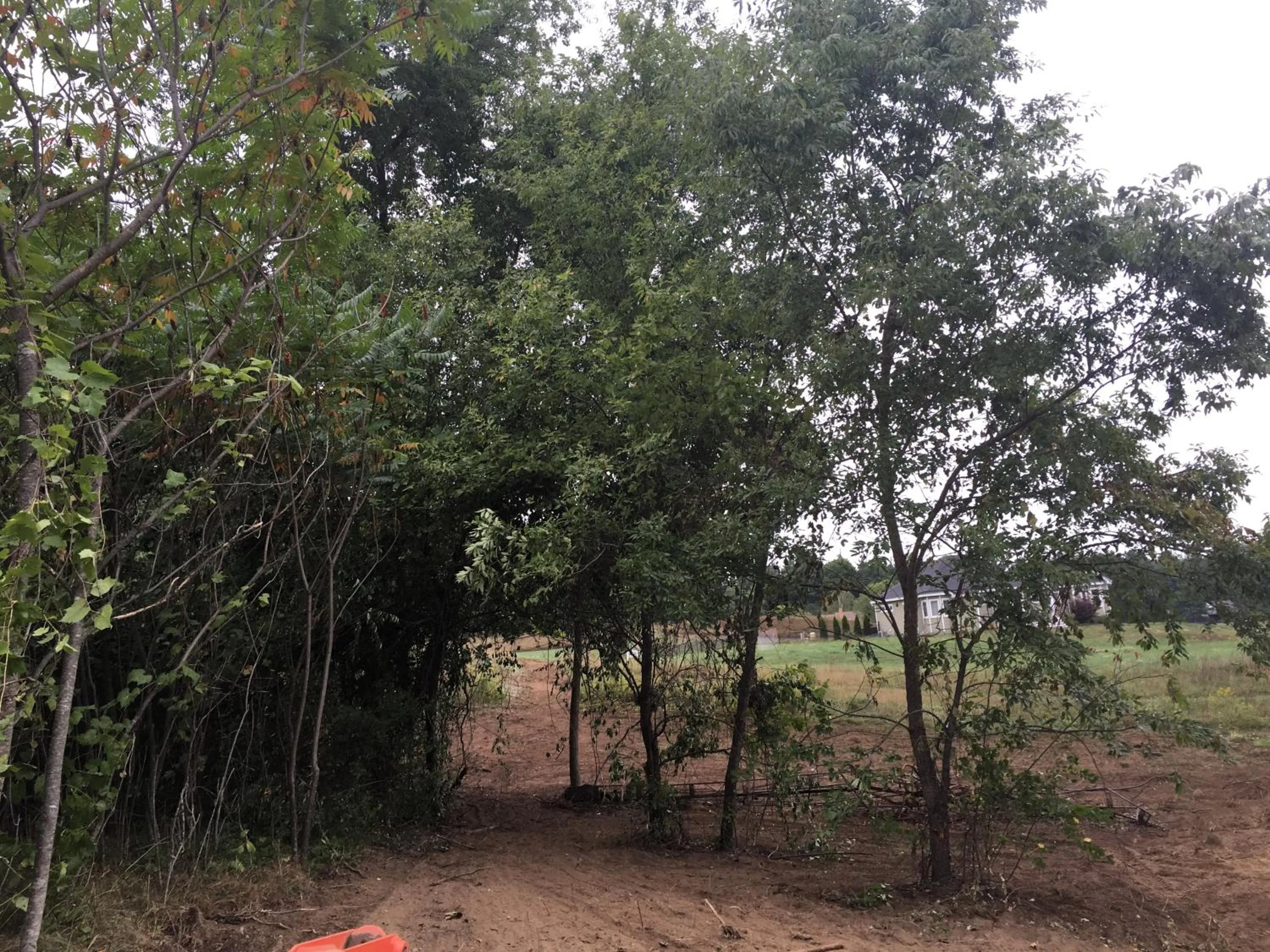 Natural landscape in Timber Post Bed & Breakfast