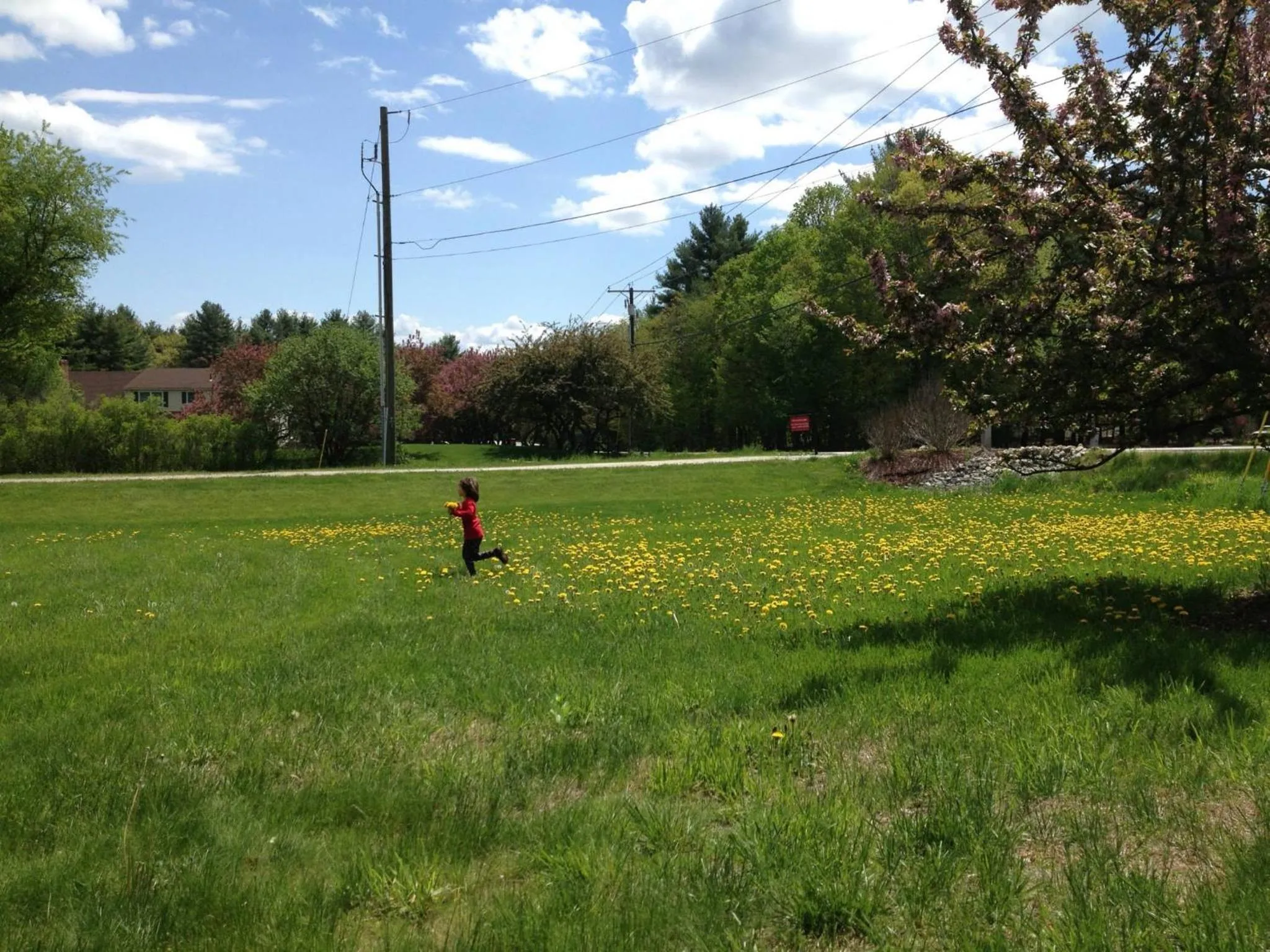Spring in Timber Post Bed & Breakfast