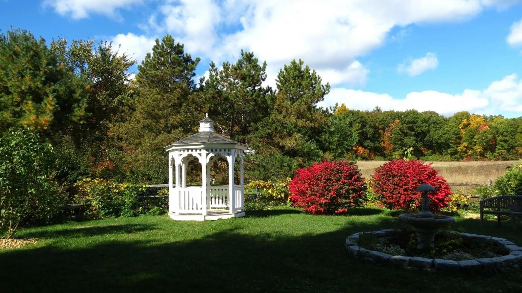 Garden in Timber Post Bed & Breakfast