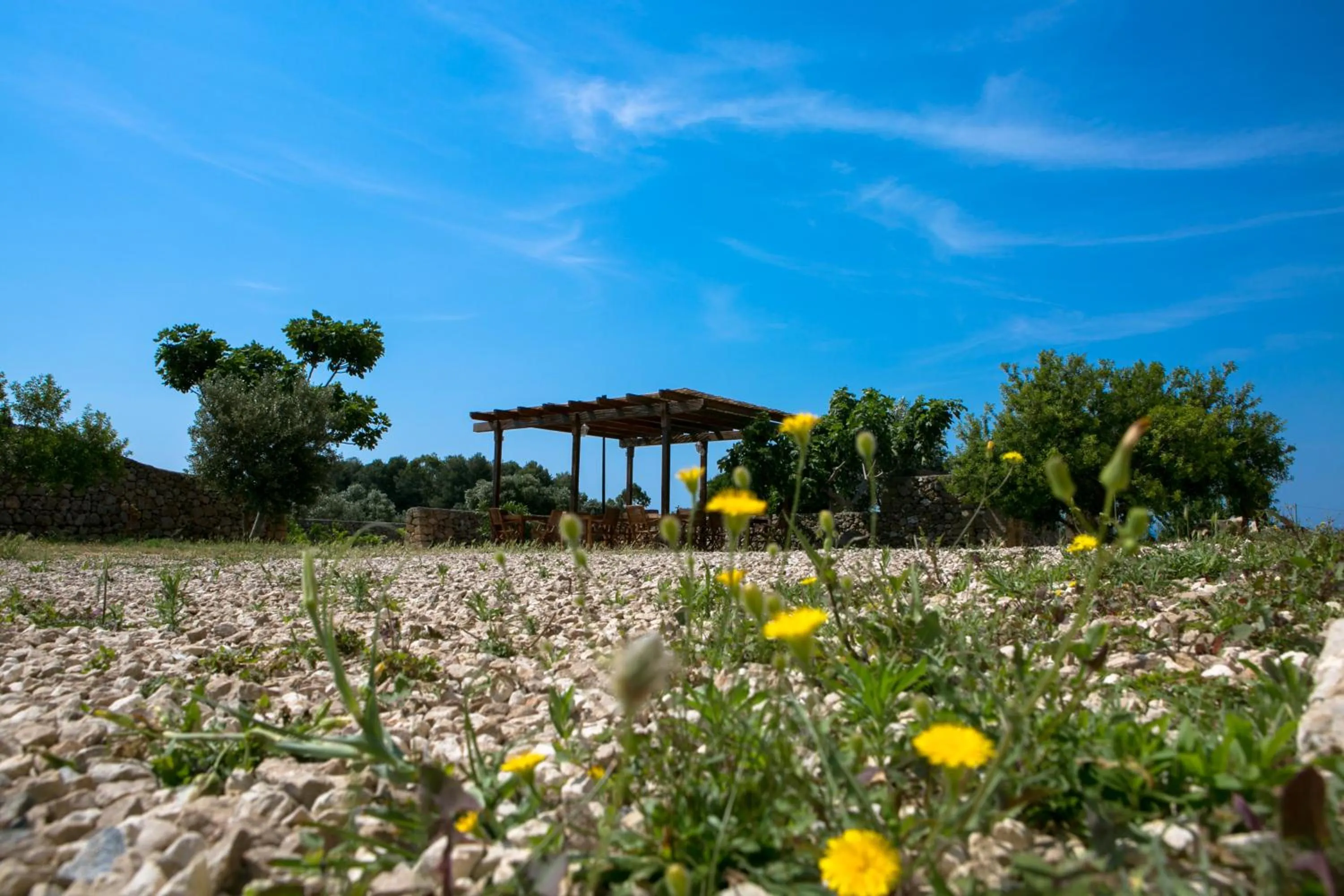 Property building in Antica Masseria Ficazzana - Tenuta