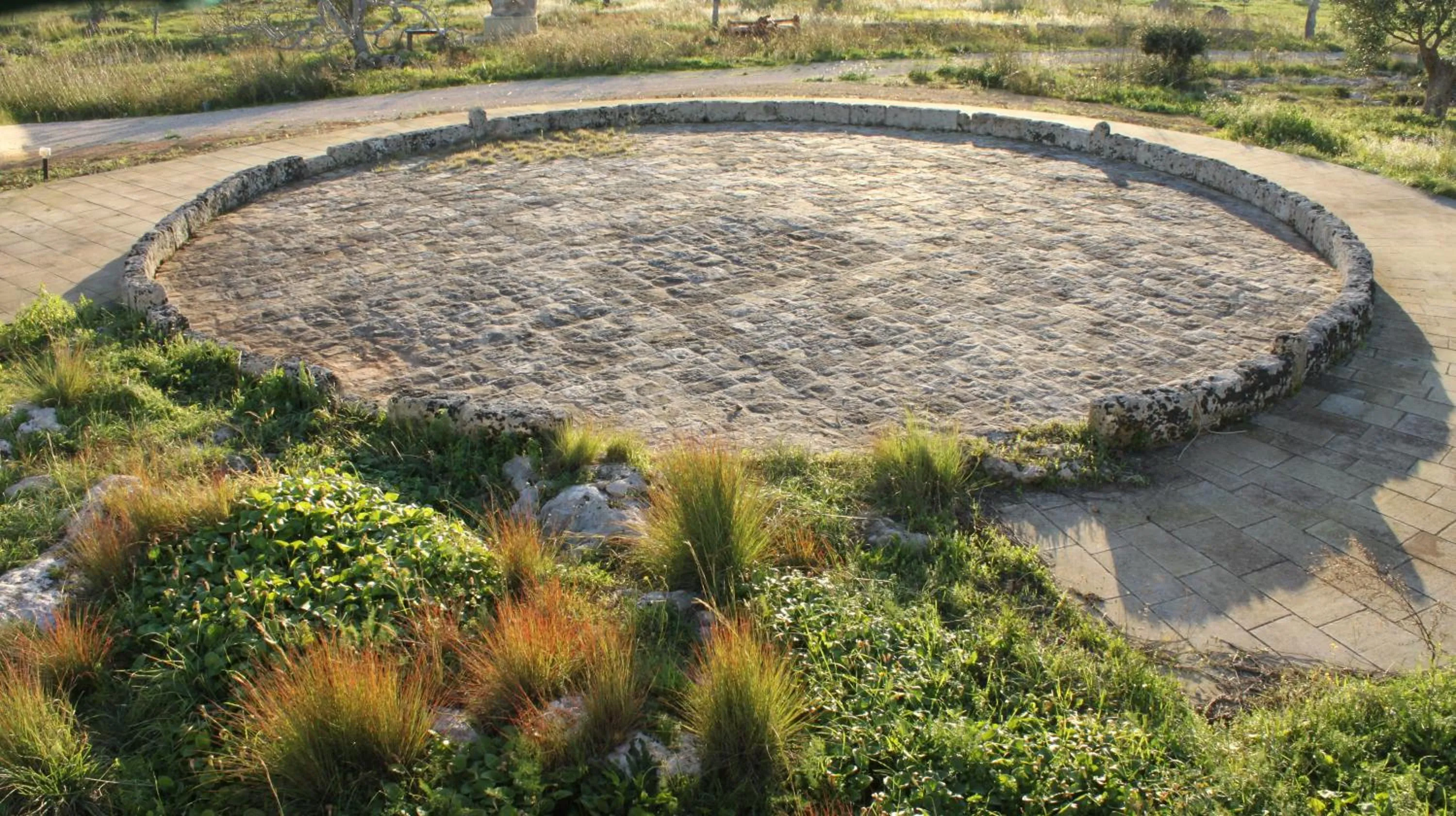 Other in Antica Masseria Ficazzana - Tenuta