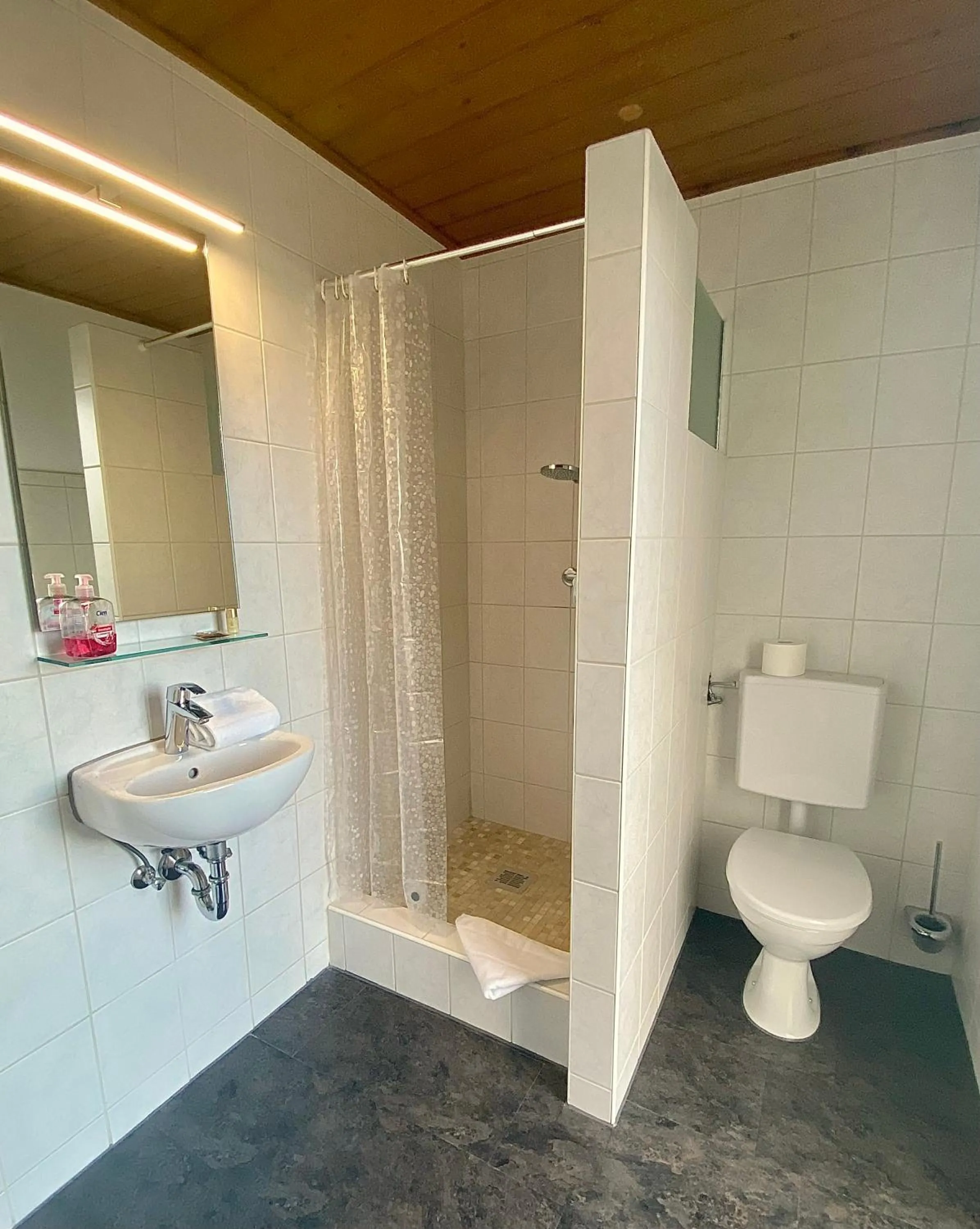 Bathroom in Hotel Gasthof Rose