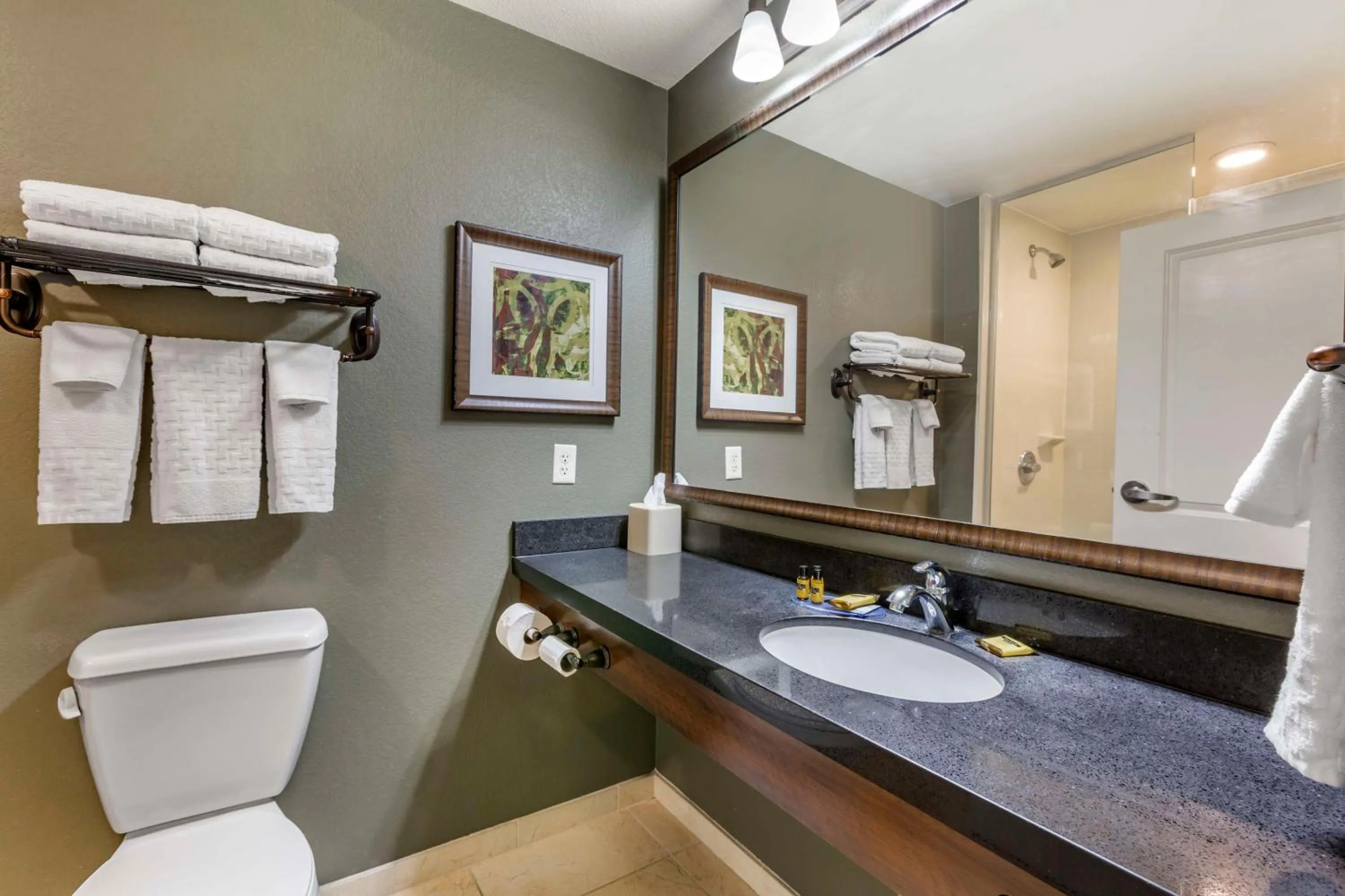 Bathroom in Best Western Plus Chandler Hotel & Suites