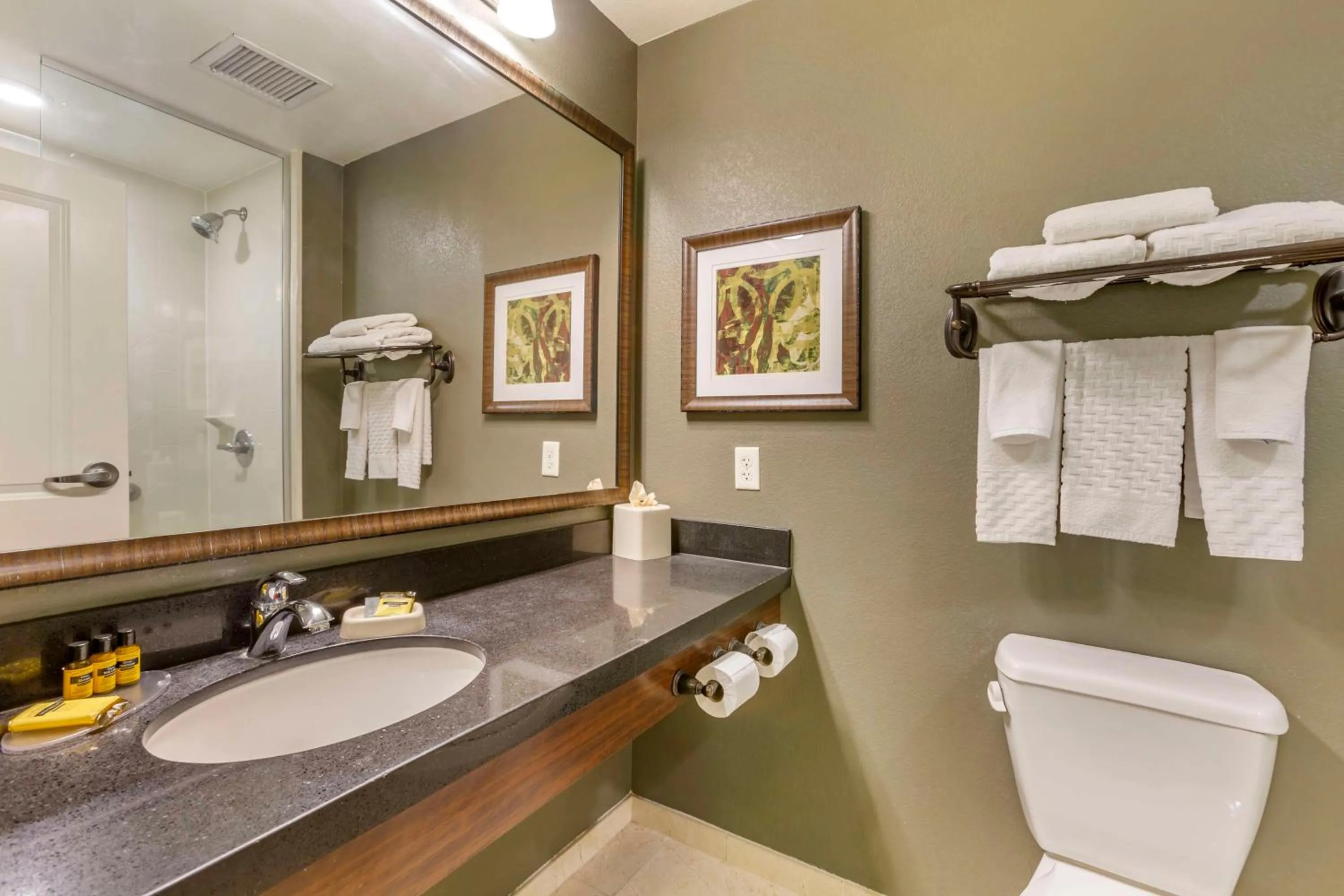 Bathroom in Best Western Plus Chandler Hotel & Suites