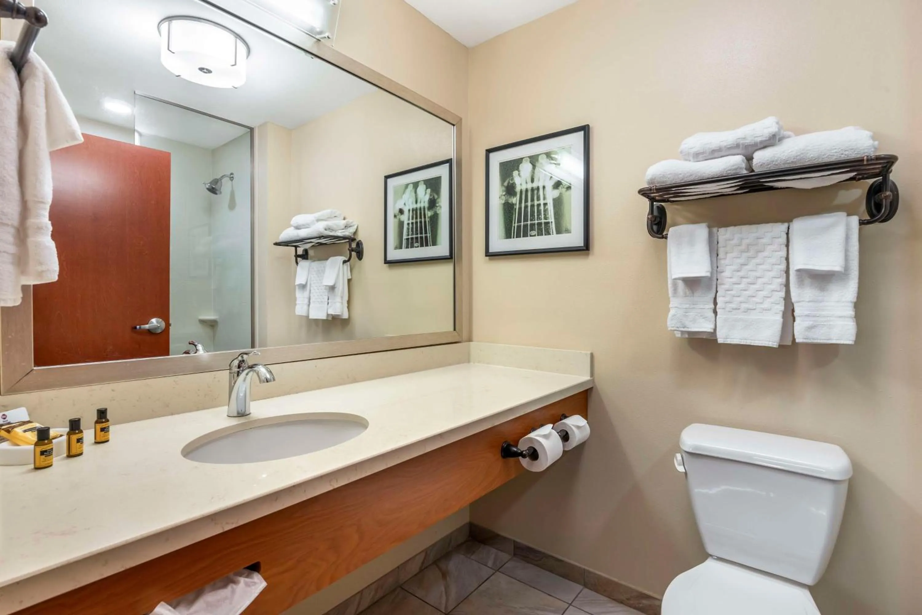 Bathroom in Best Western Plus Tuscumbia/Muscle Shoals Hotel & Suites