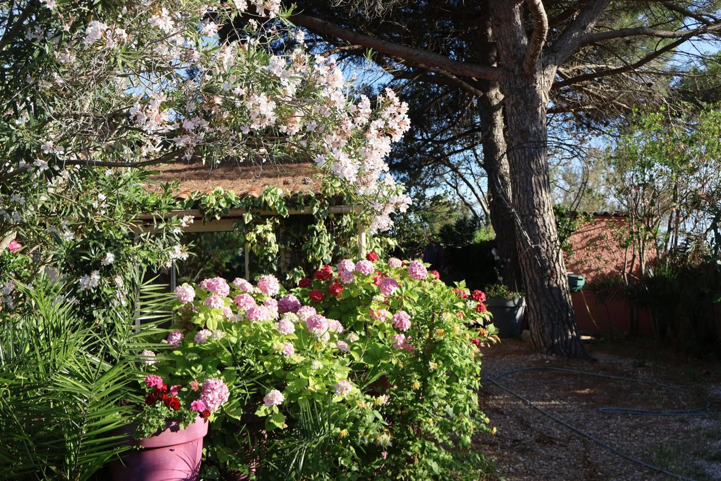 Gites Chambres d'hotes Mazet du Maréchal Ferrant