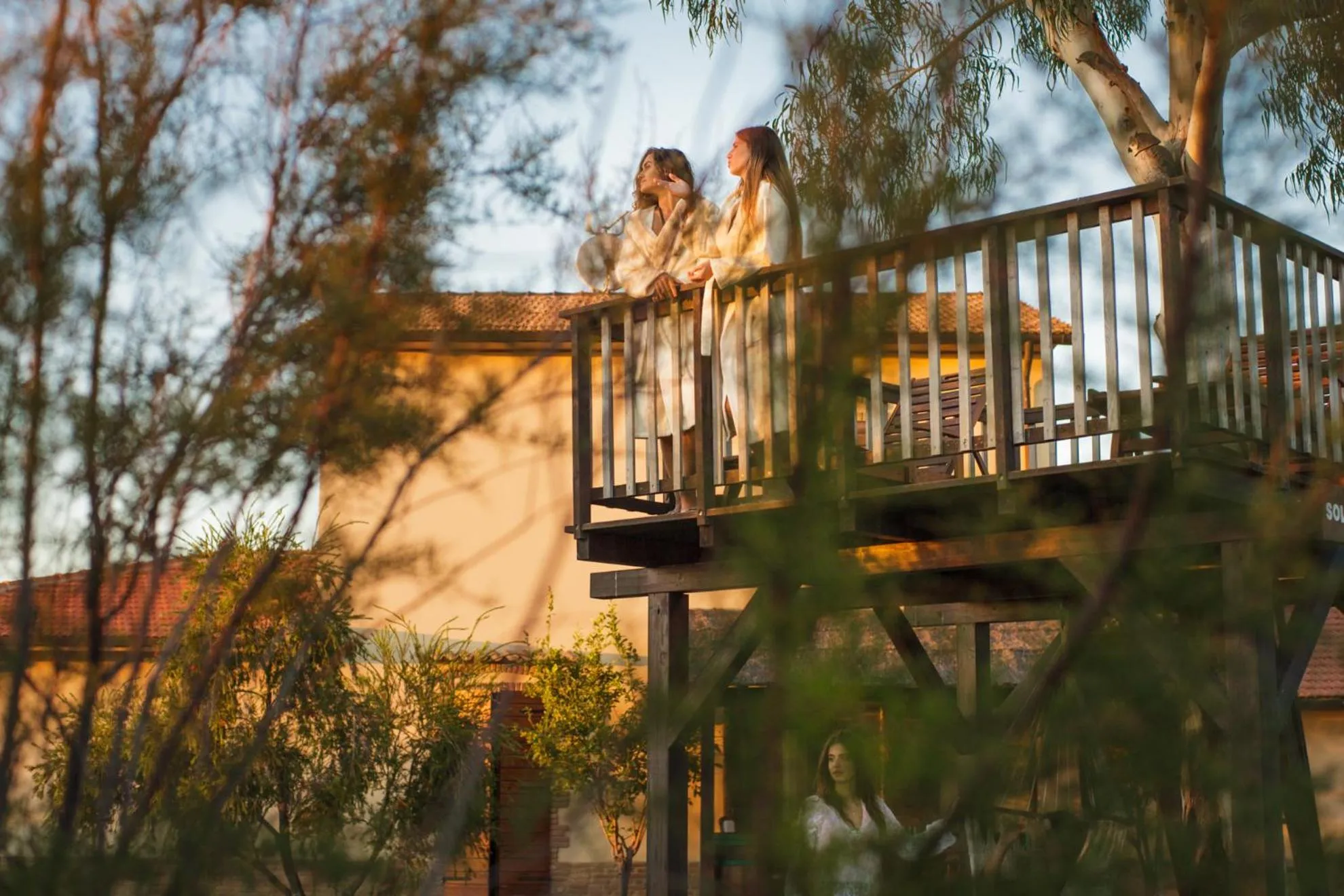 Balcony/Terrace in Tenuta dei Principi