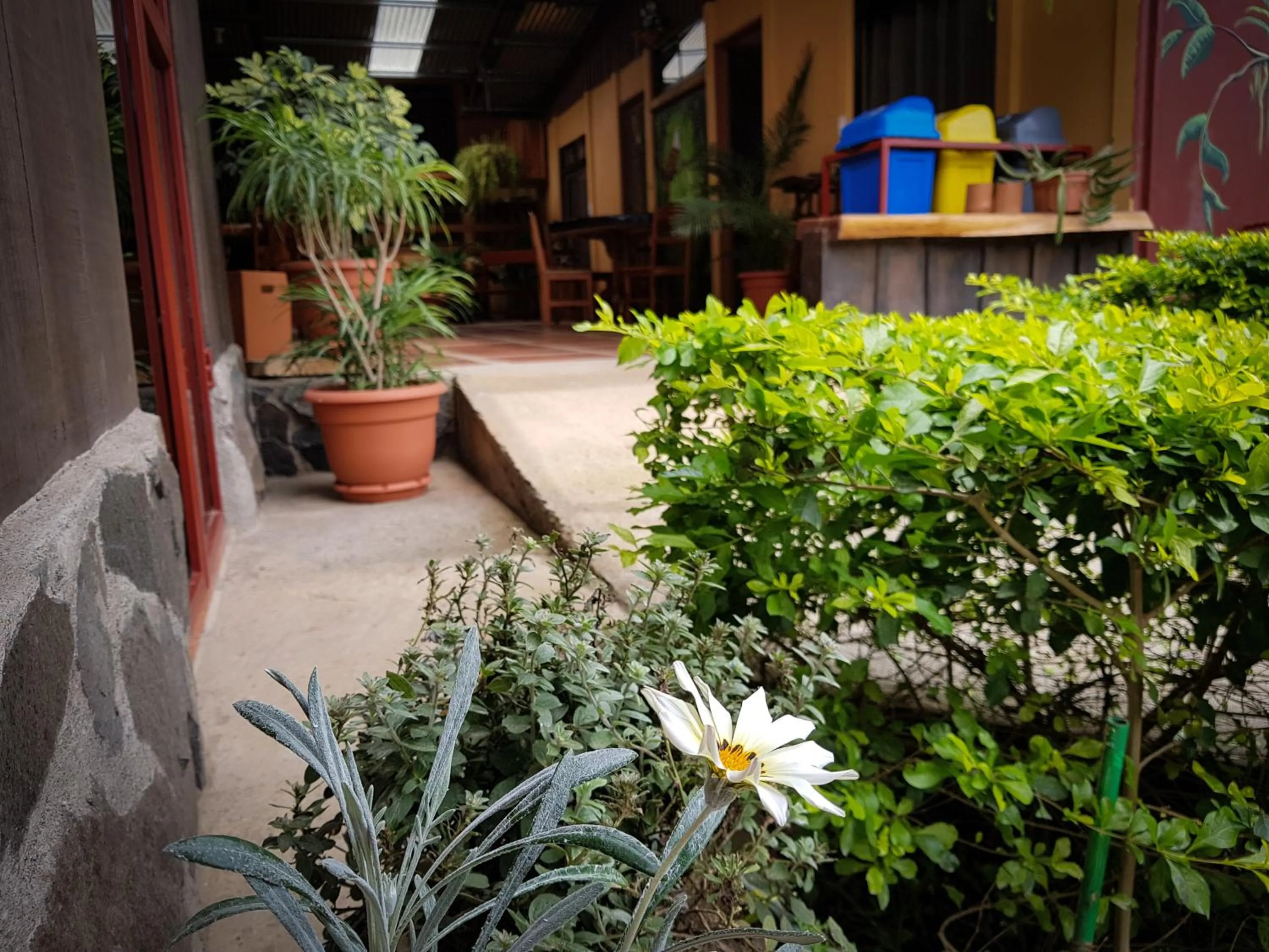 Property building in Greemount Hotel