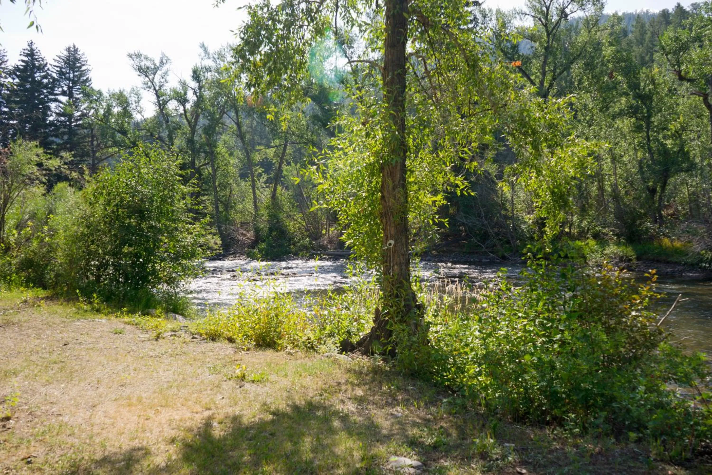 Natural landscape in Four Seasons Lodge