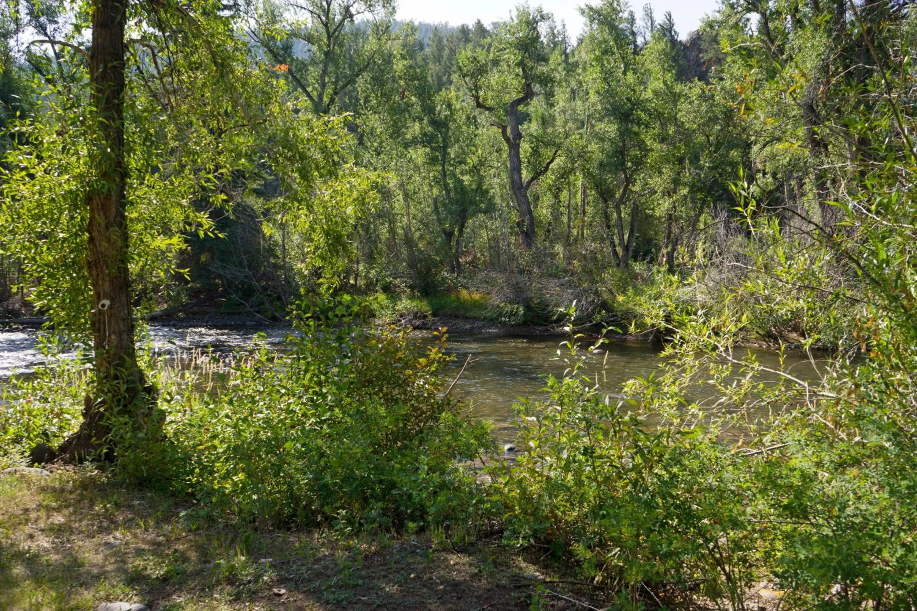 Natural landscape in Four Seasons Lodge