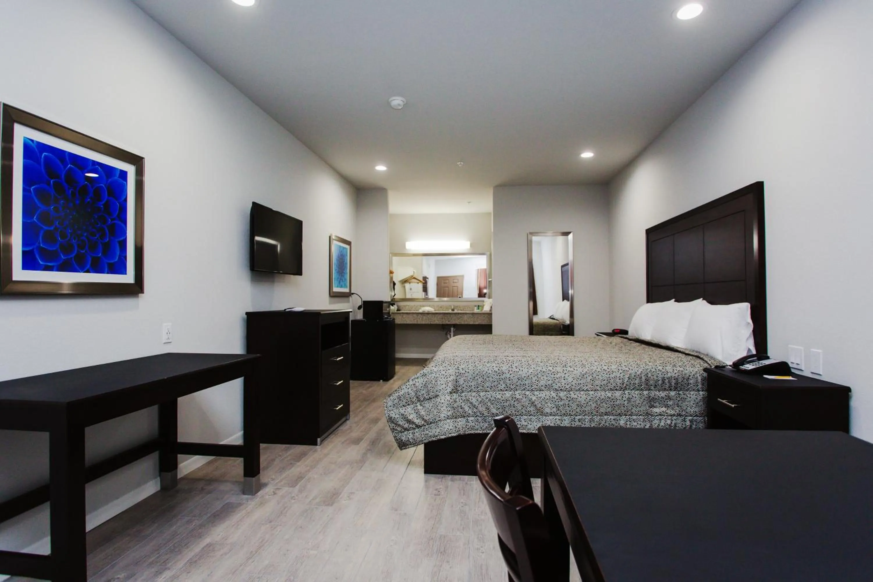 Photo of the whole room in Palace Inn-529