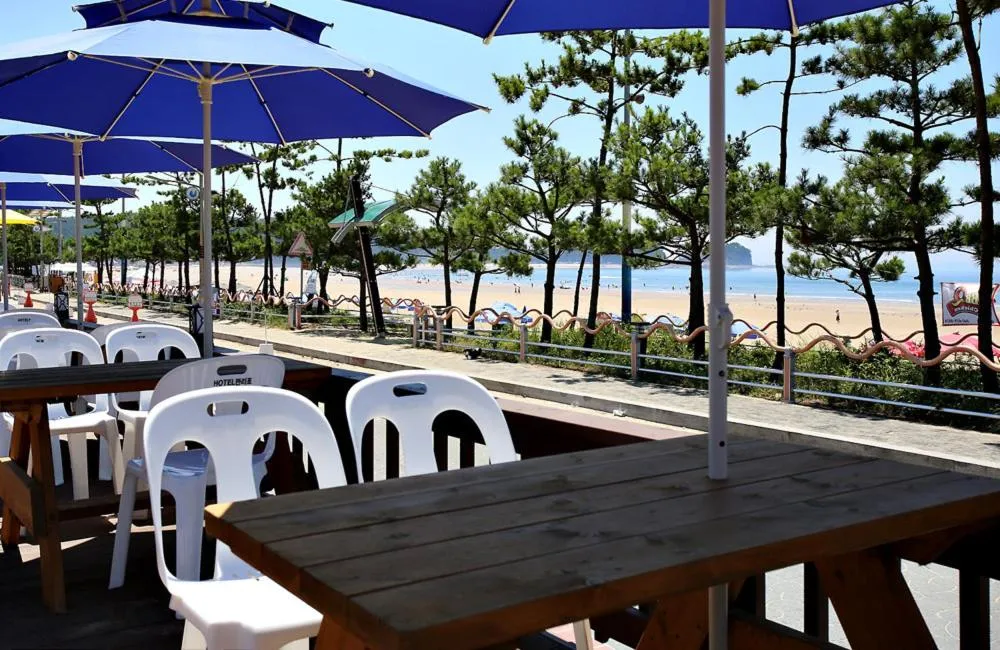 Area and facilities in Hotel Mallipo