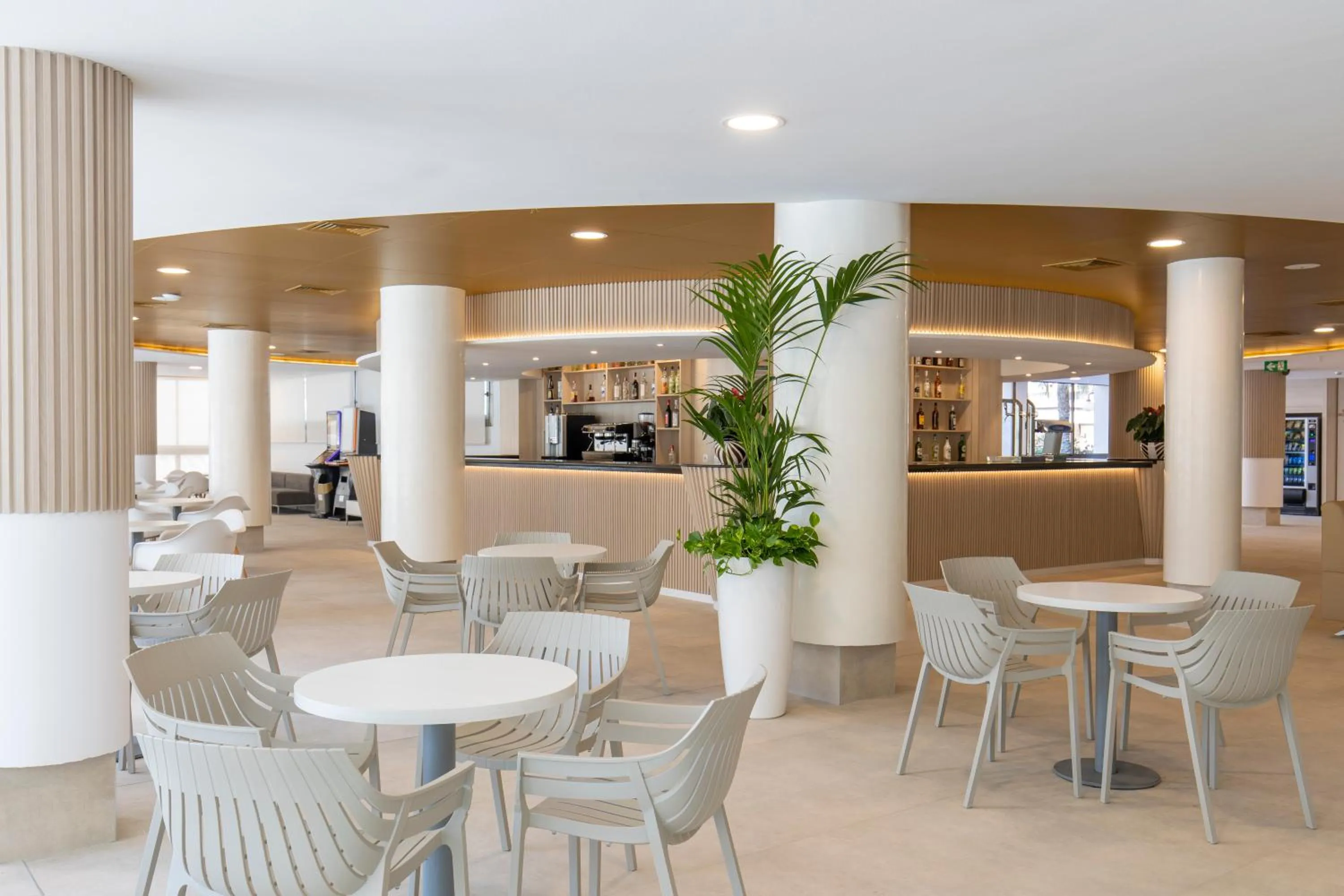 Lounge or bar in Hotel Rosamar