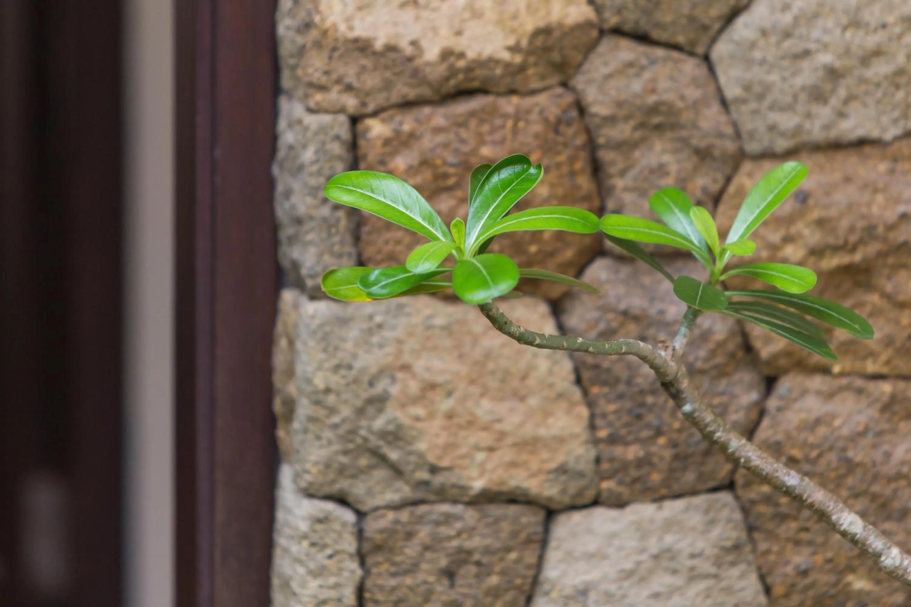 Property building in The Reika Villas by Nagisa Bali