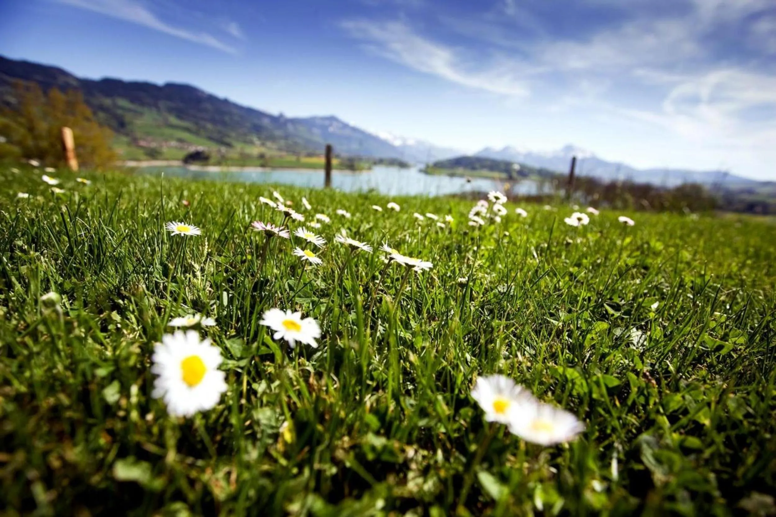 Decorative detail in Romantik Hotel le Vignier