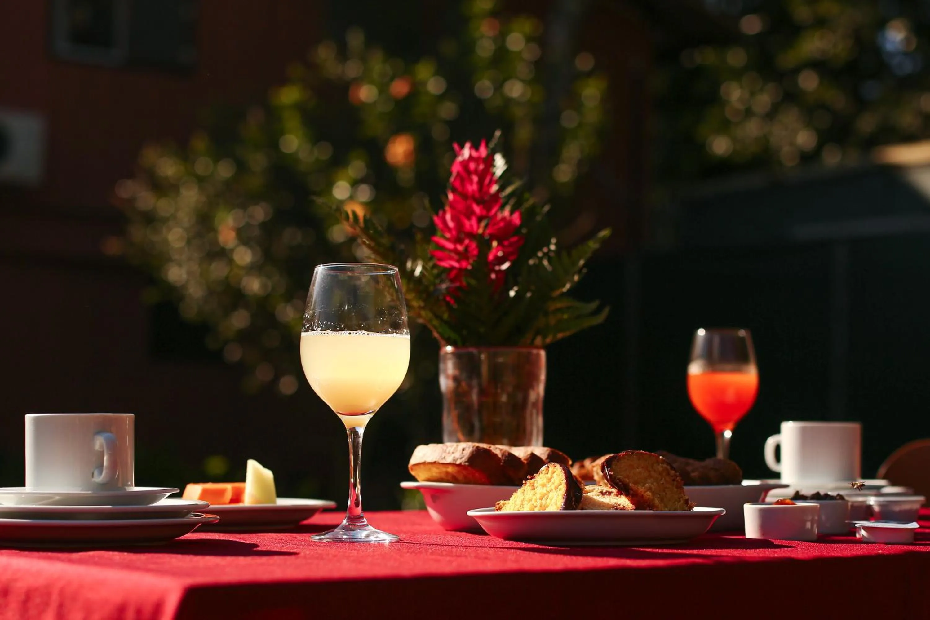 Day in Pousada Plancton