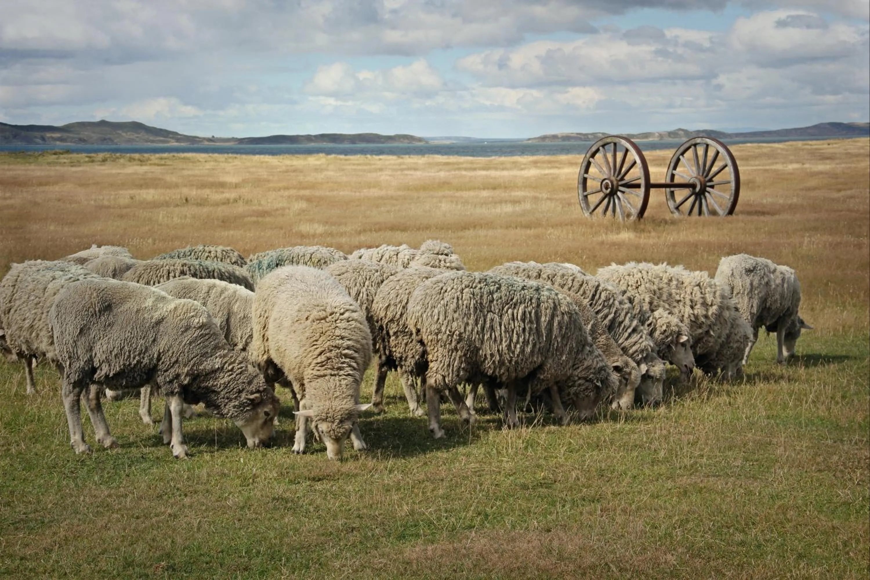 Activities in Vinnhaus