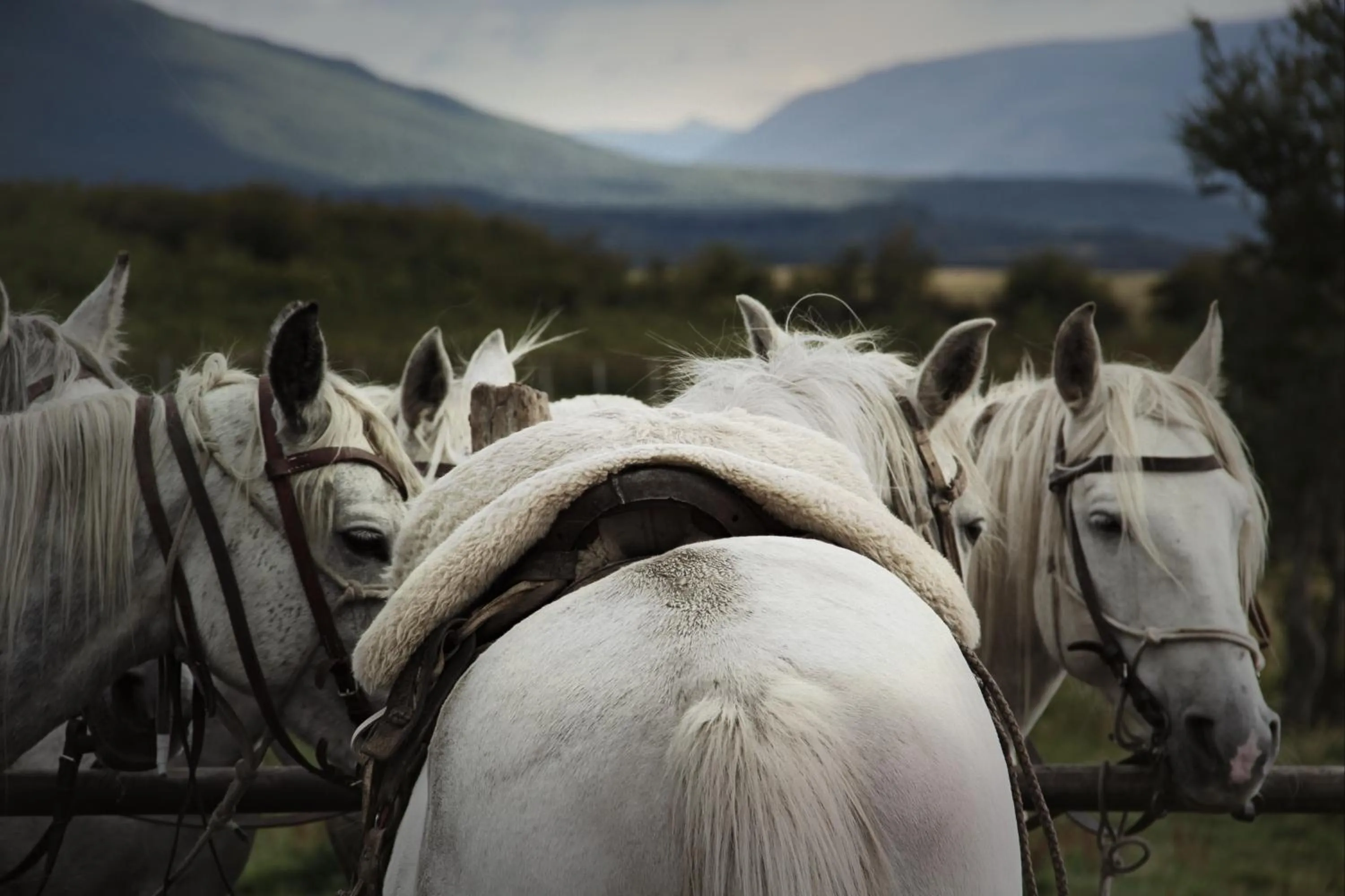Activities in Vinnhaus