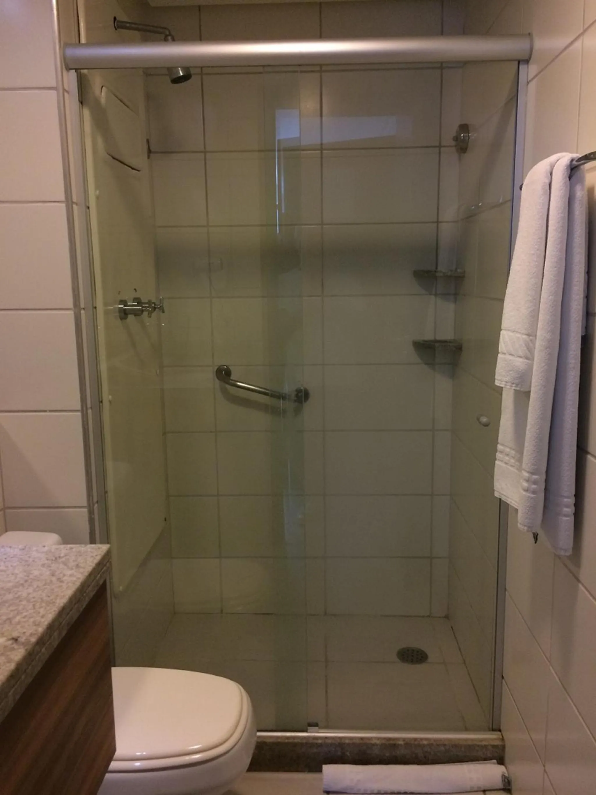 Shower in Flat Beach Class Executive