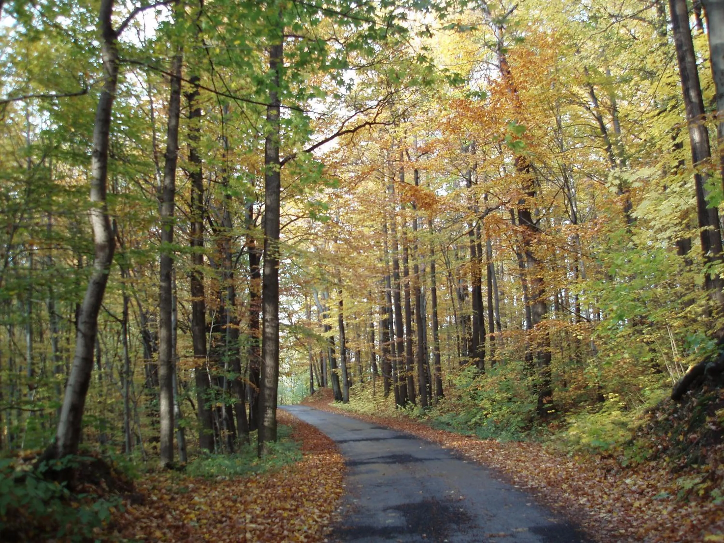 Dom Gościnny pod Zamkiem Wleń