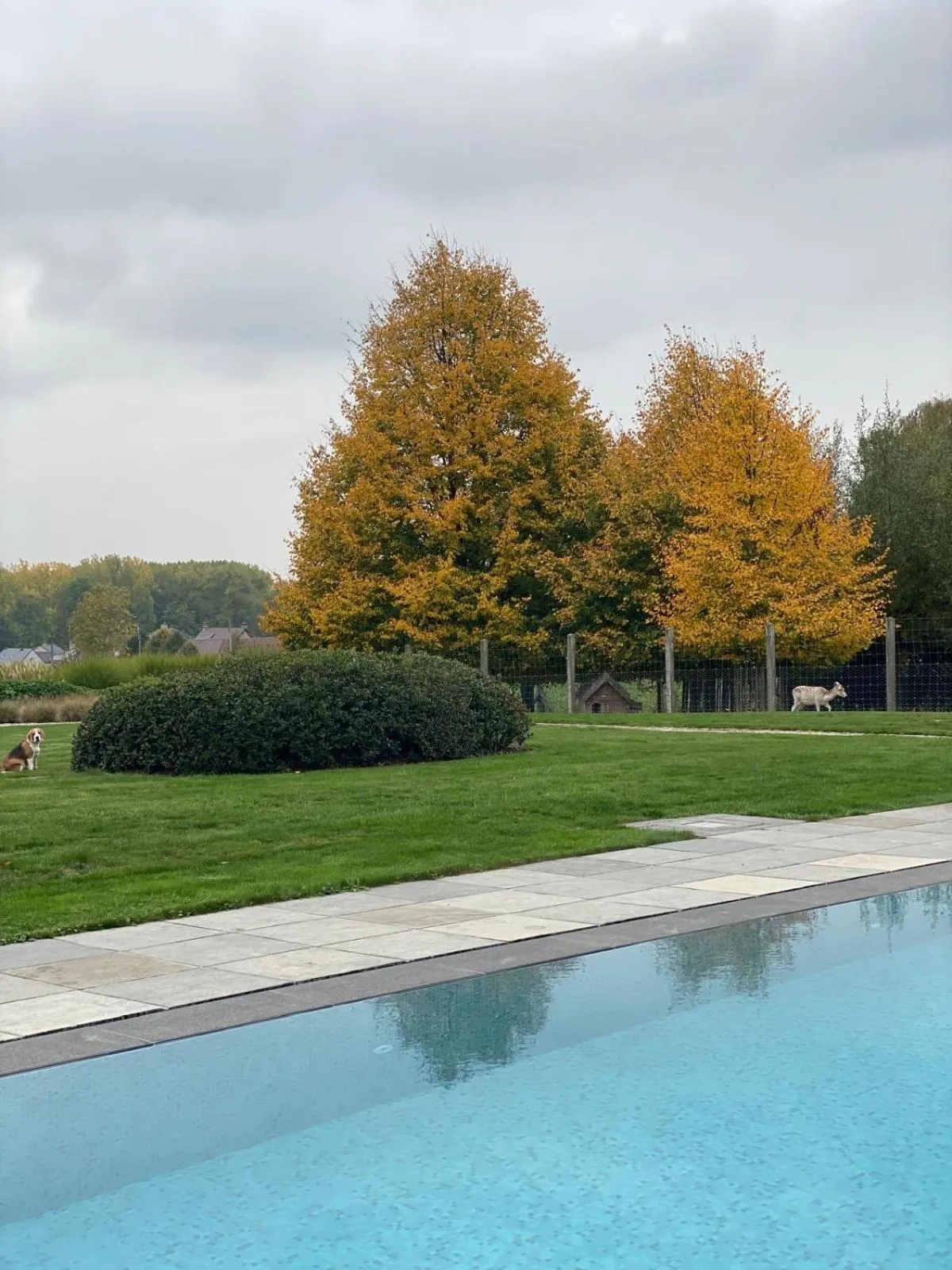 Swimming pool in Boutique Hotel De Brakelhoen