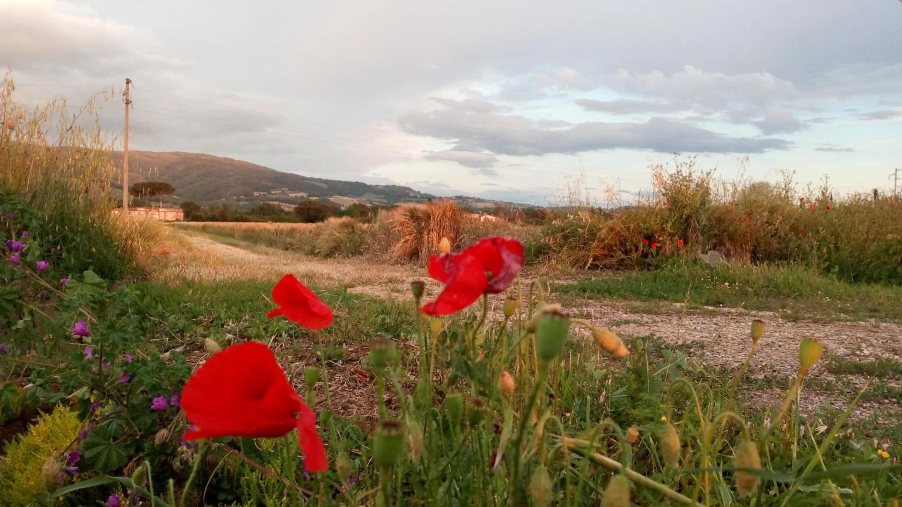 Natural landscape in Casa "Le tre Muse"