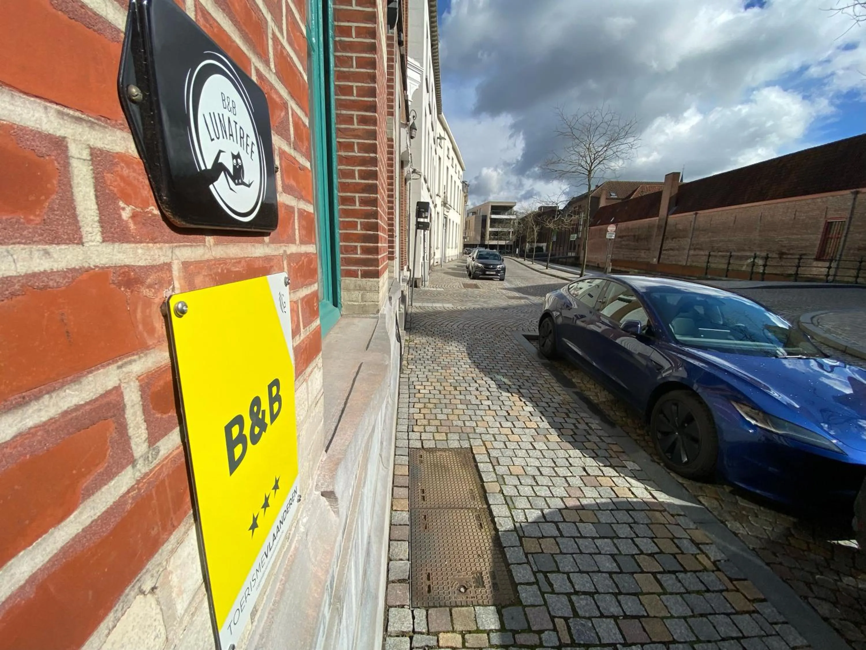 Street view in Lunatree