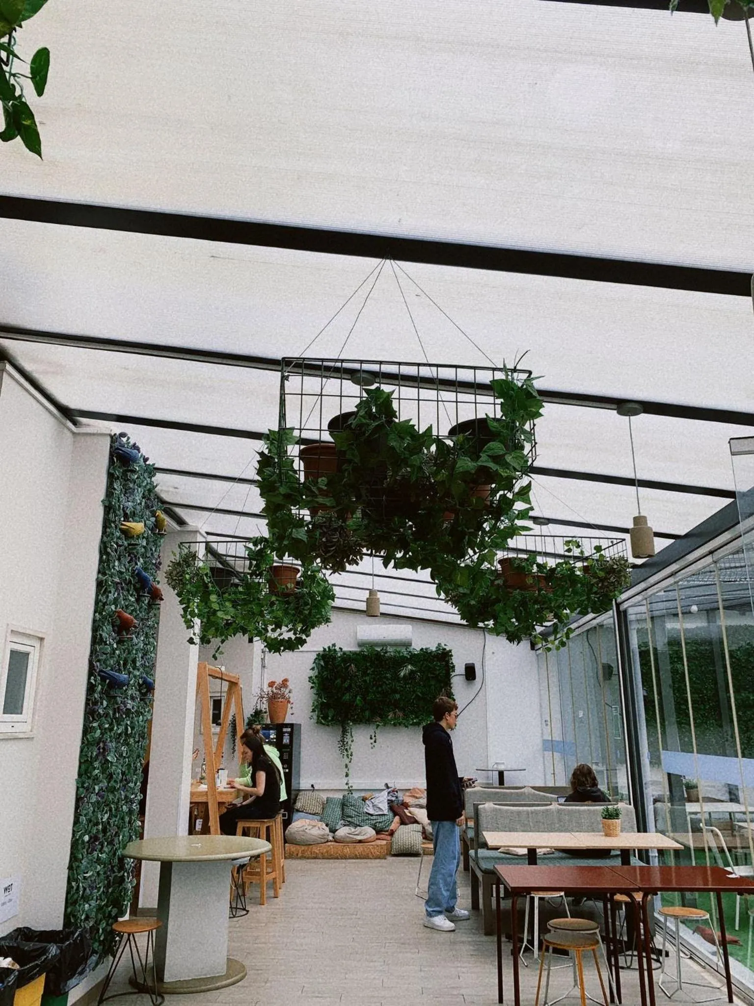 Meals in WOT Patio Social