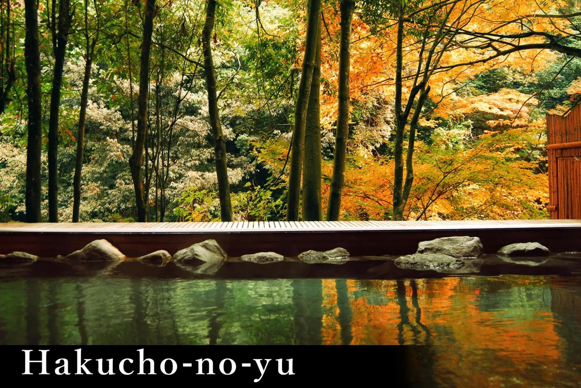 Yamanaka Onsen Kagari Kisshotei