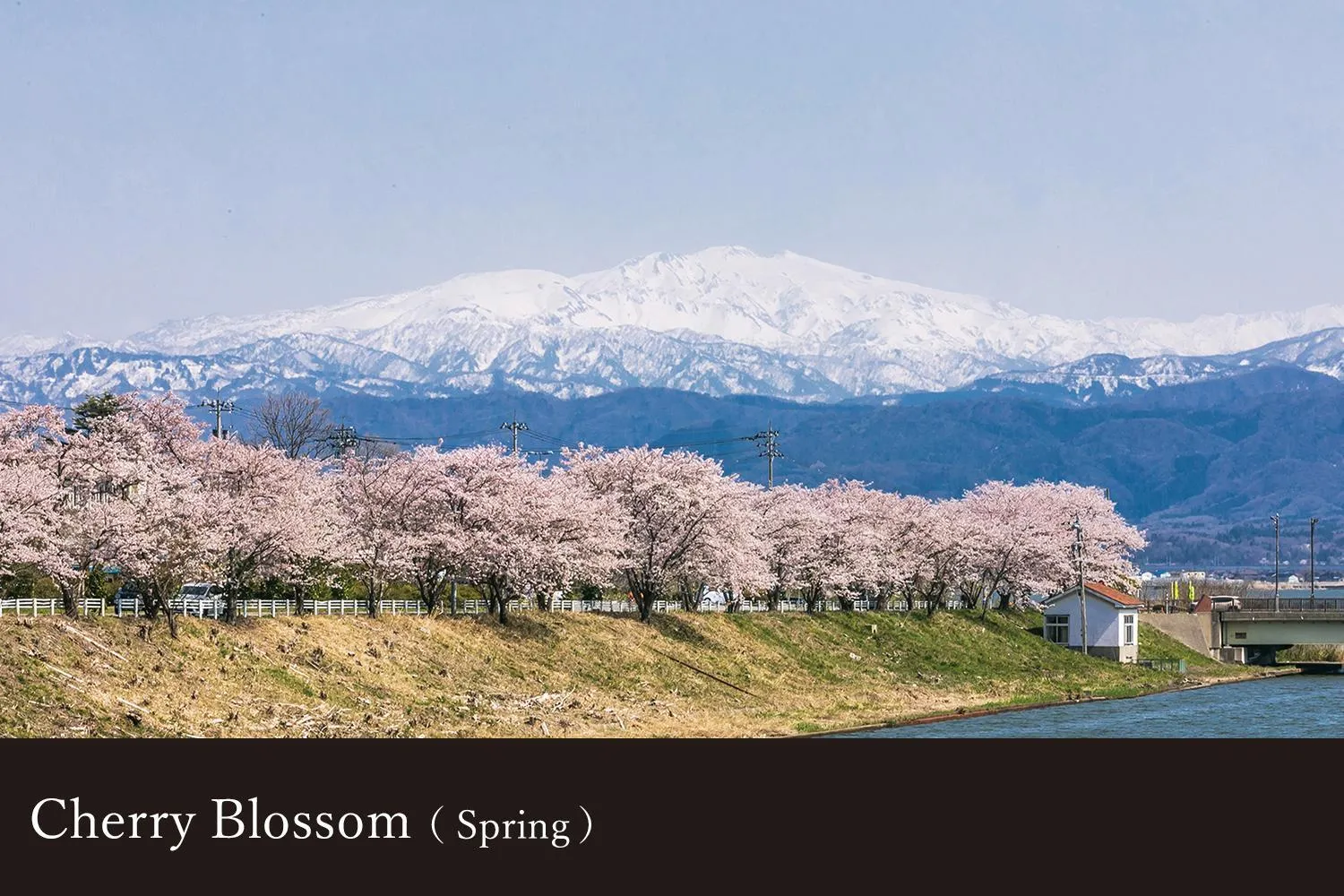 Yamanaka Onsen Kagari Kisshotei