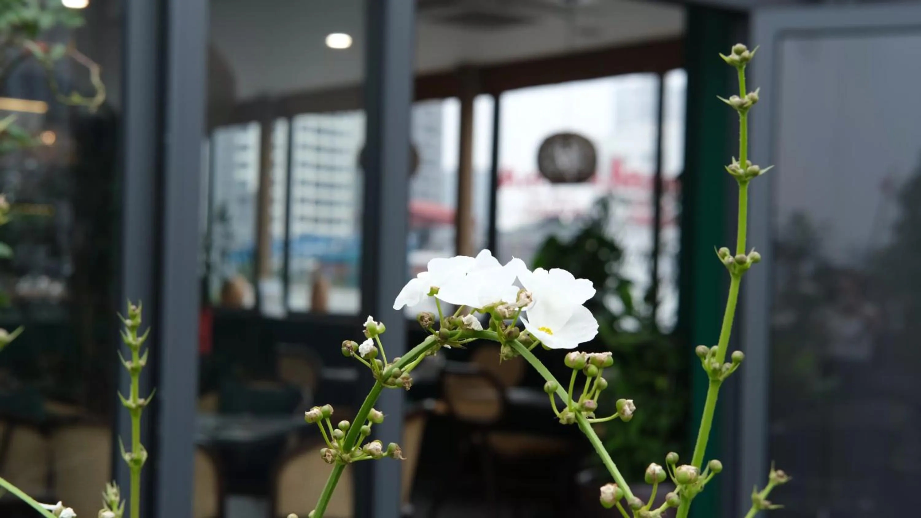 Restaurant/places to eat in The Bloom Classic - An Excellent Blend of Cozy Living and Urban Relaxation